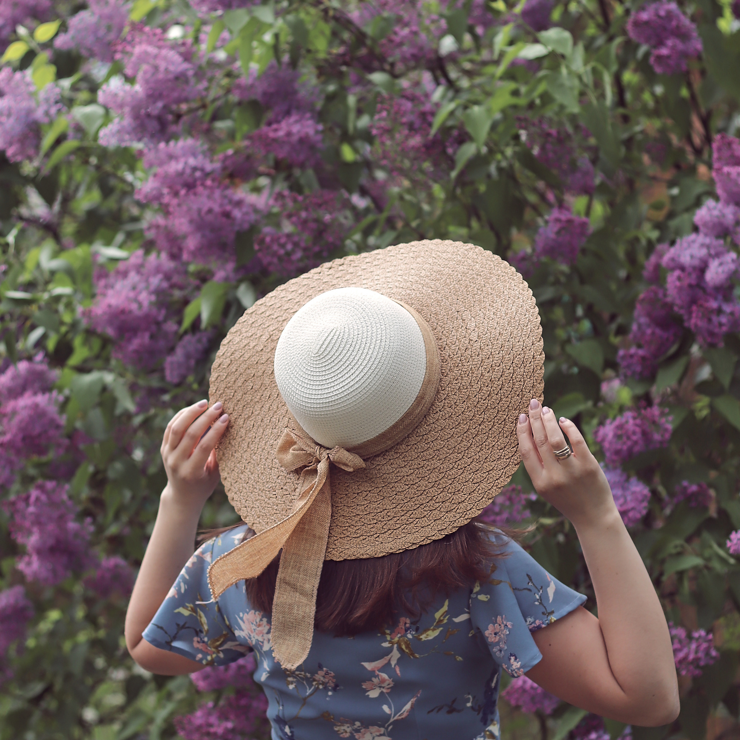 Цветущая весна