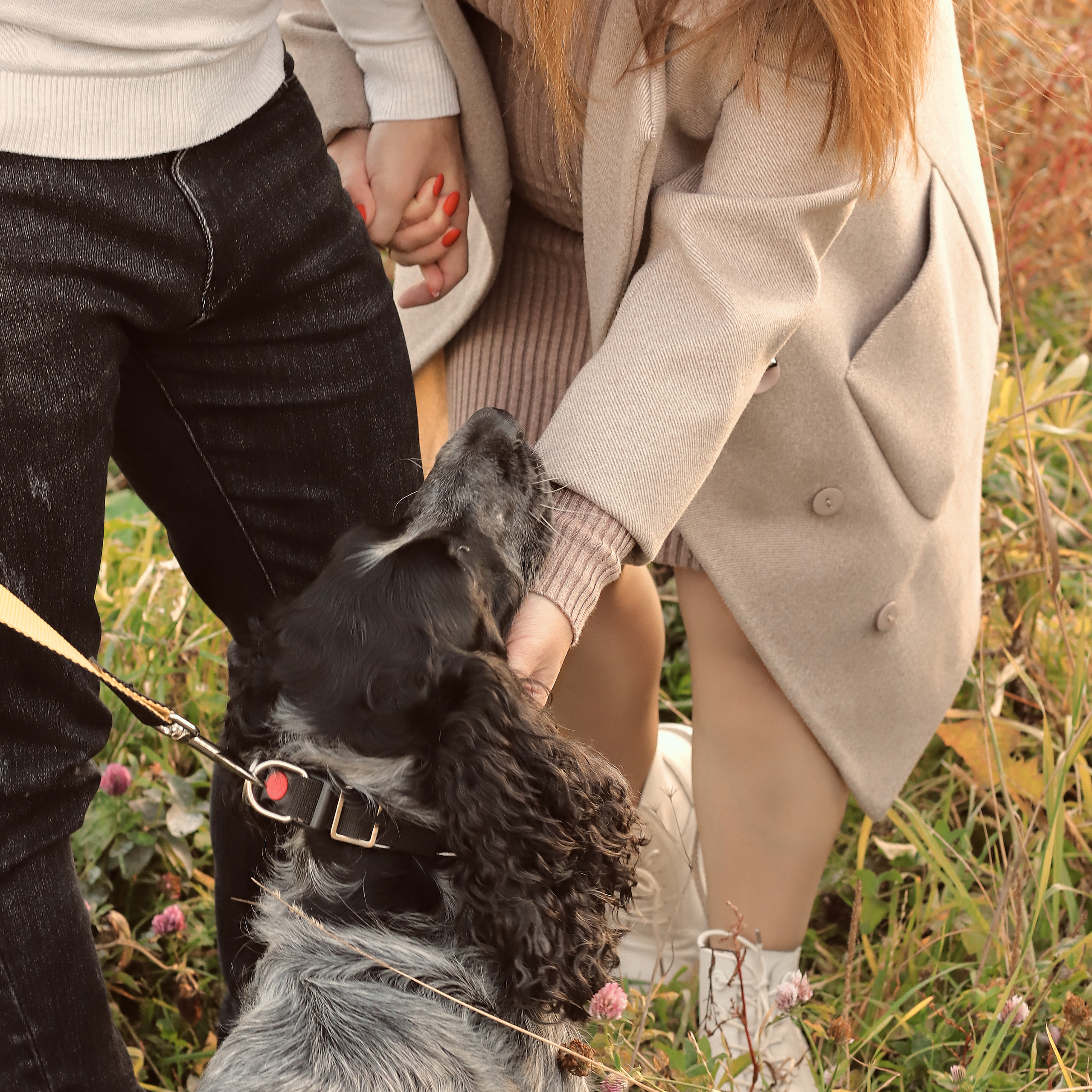 Уютная осень