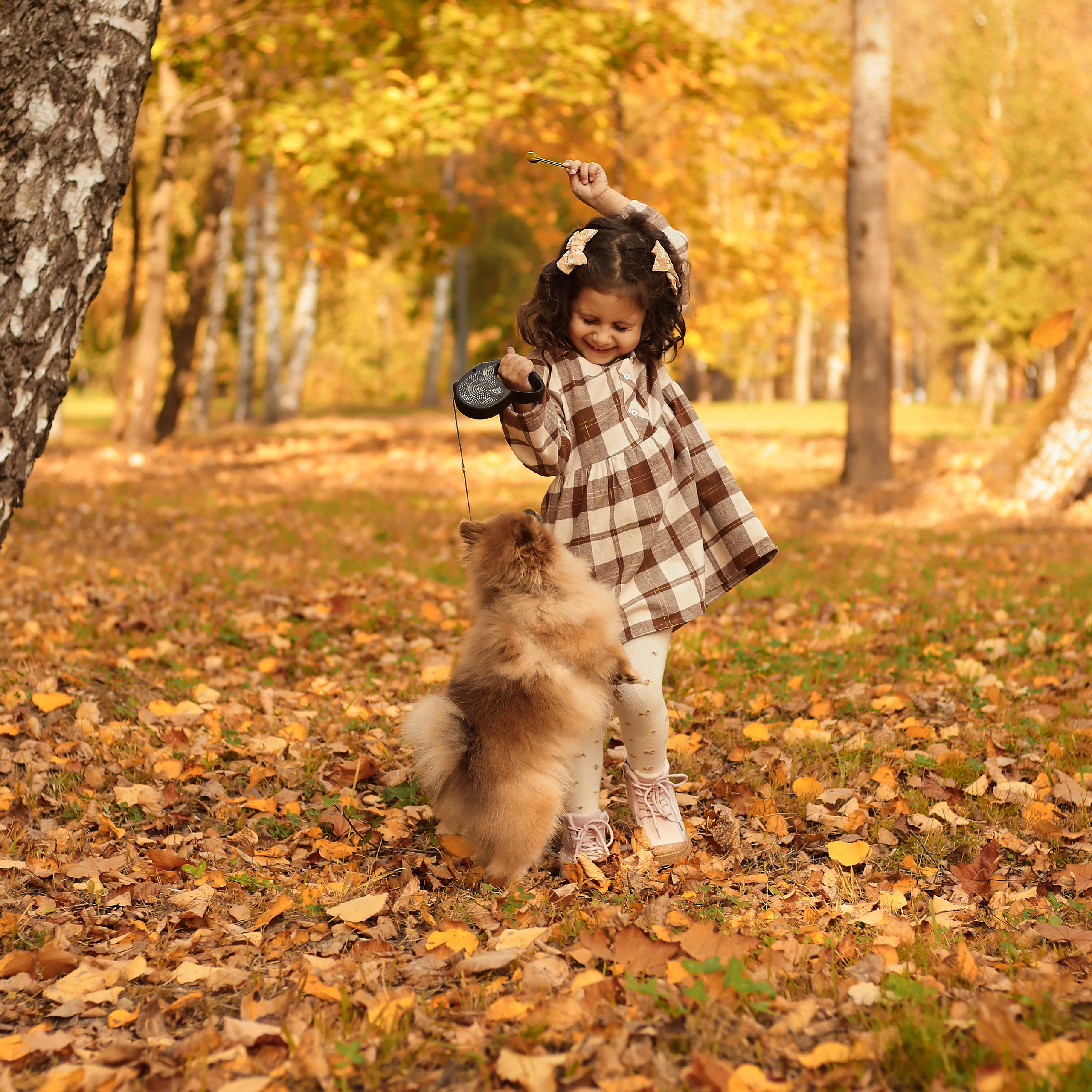 Уютная осень