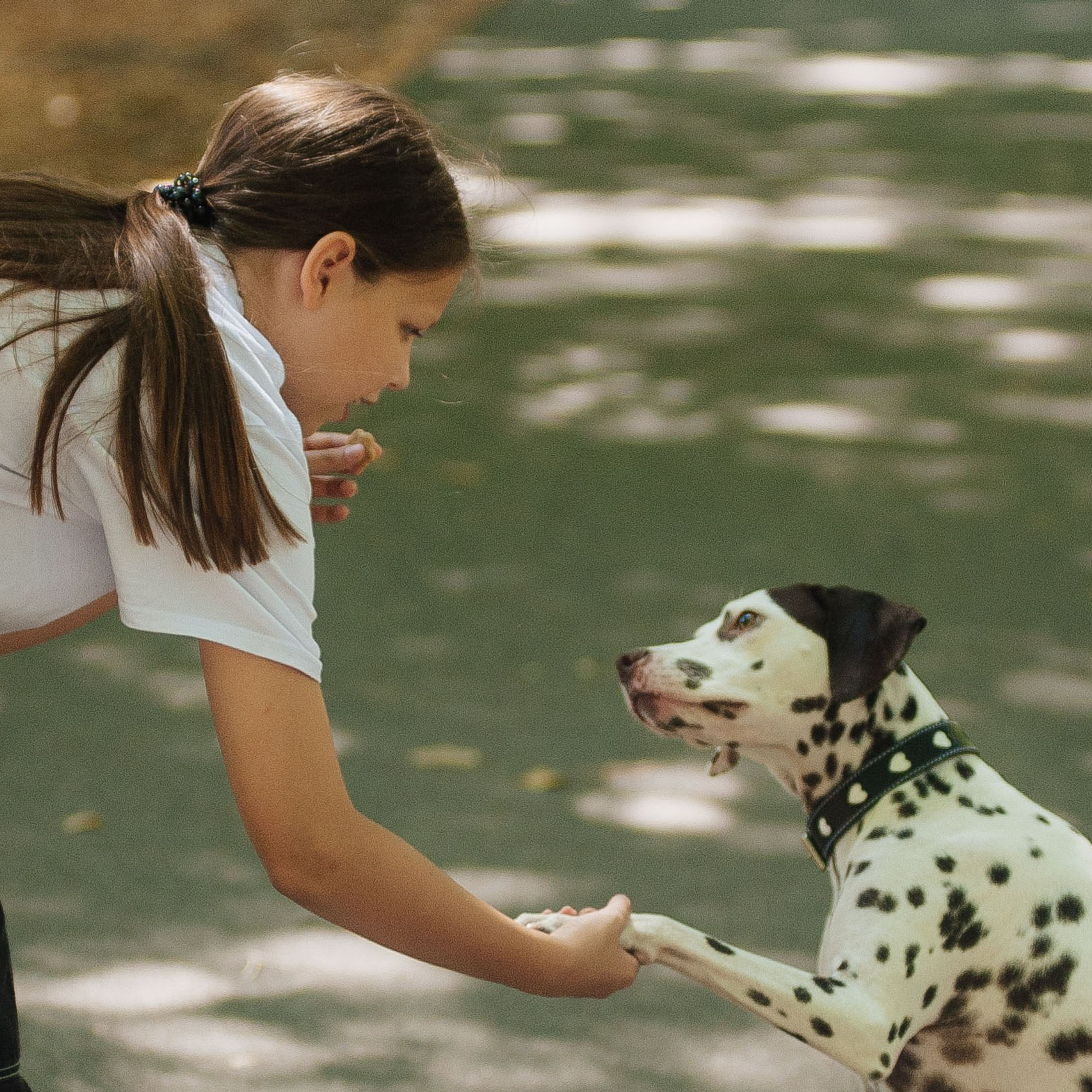 Семья Тимофеевых