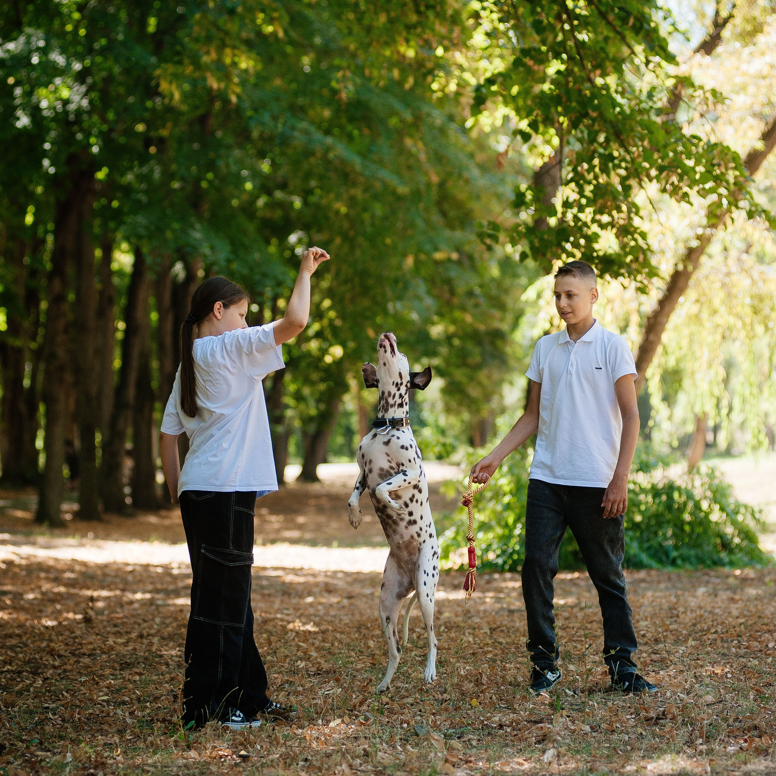 Семья Тимофеевых