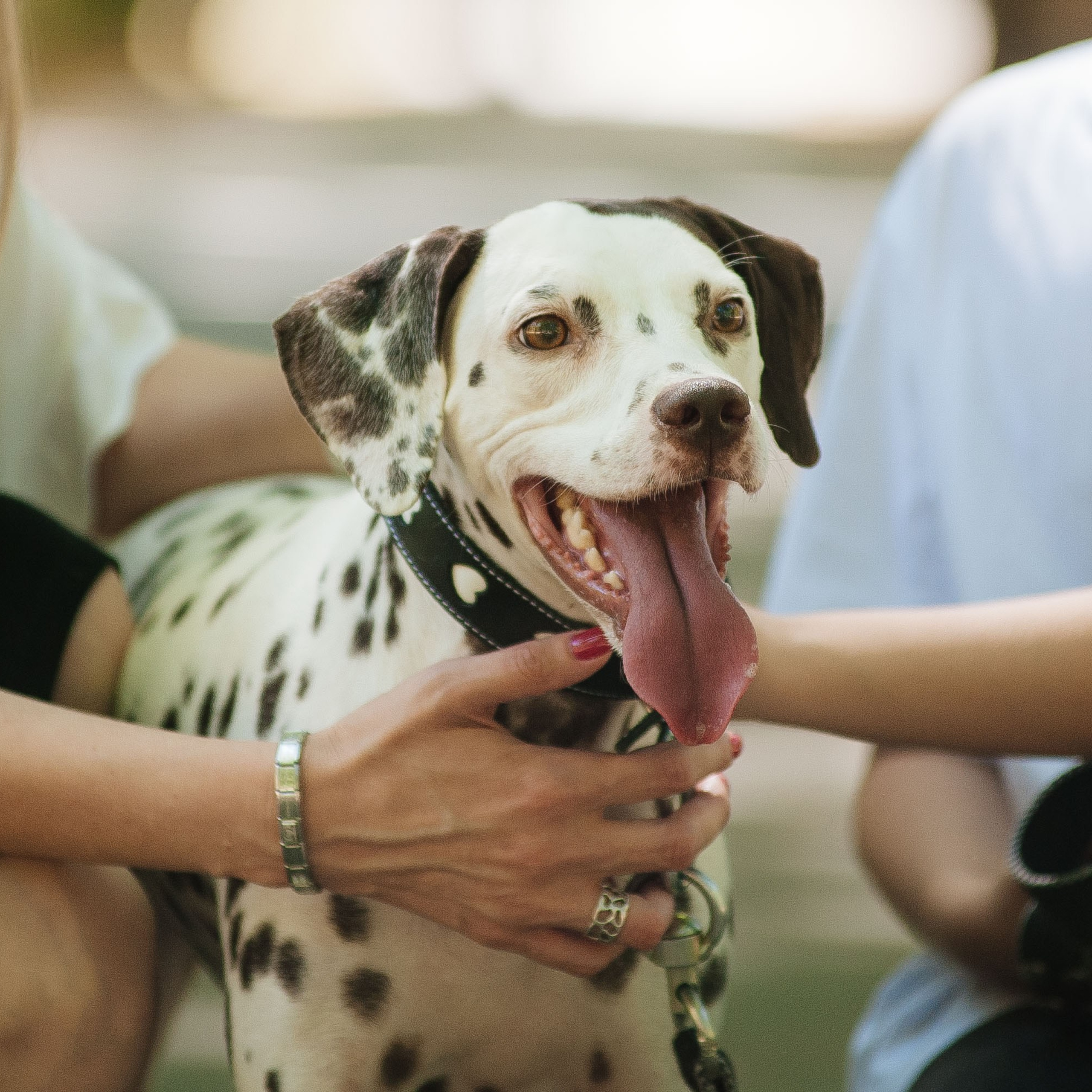 Семья Тимофеевых