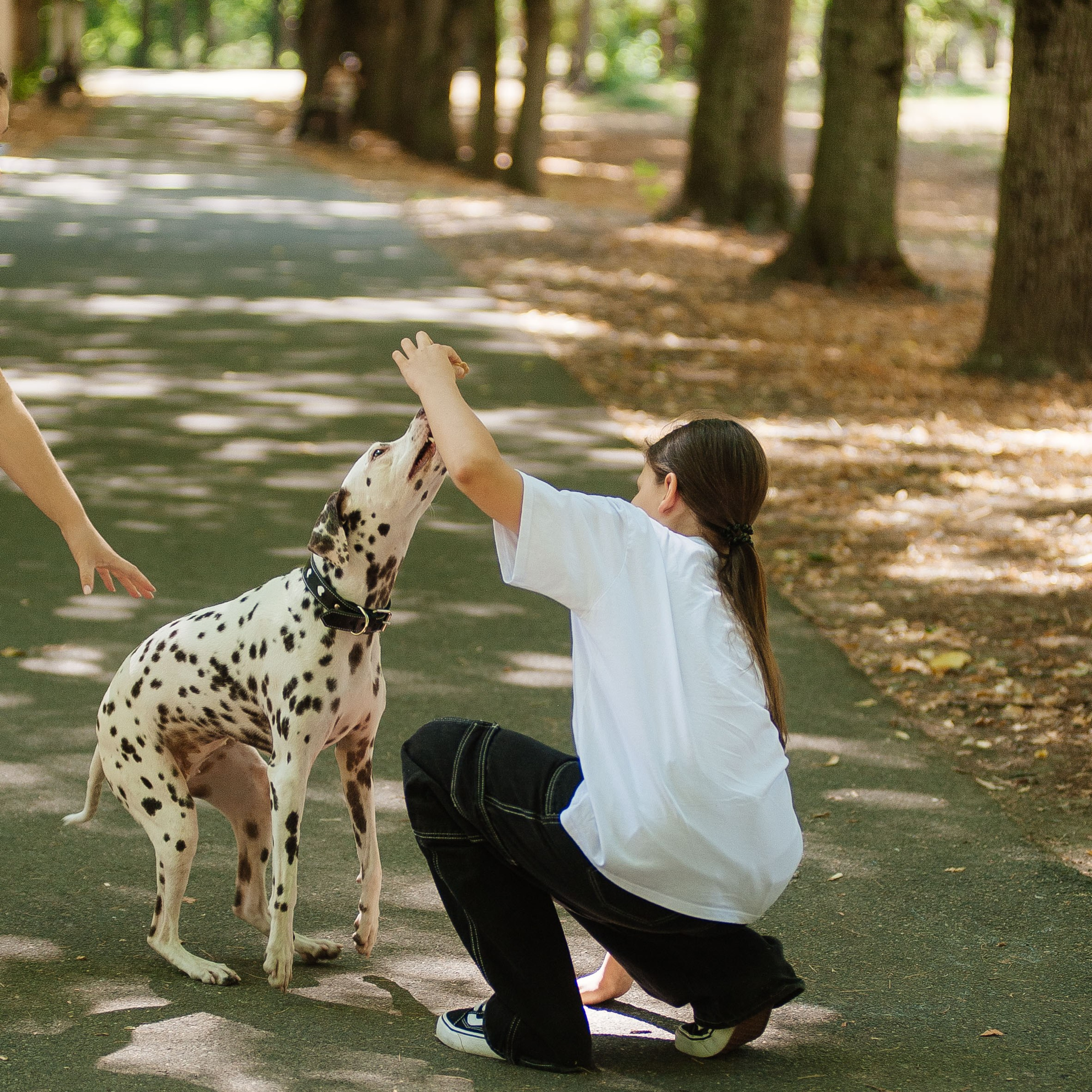 Семья Тимофеевых