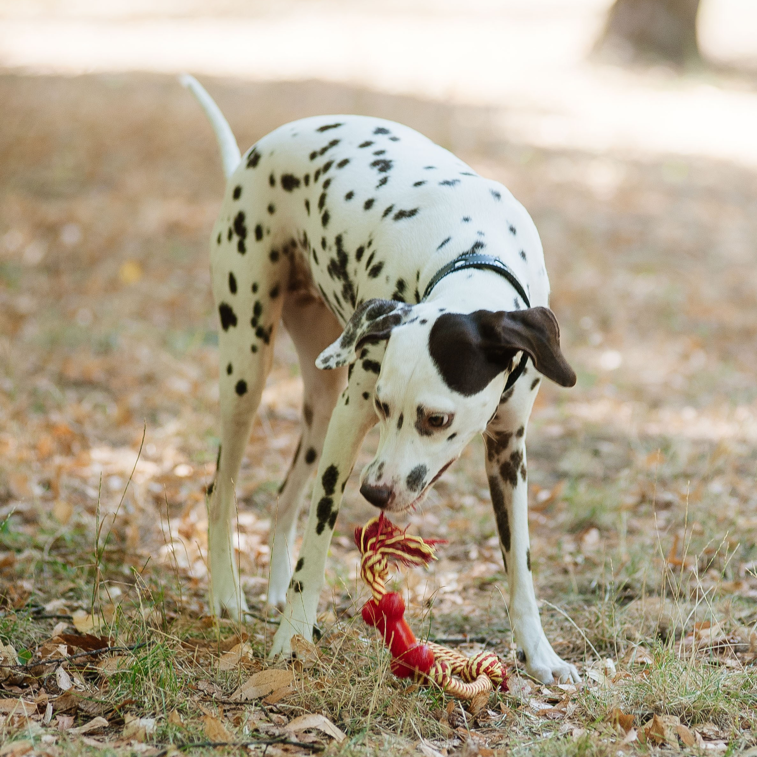 Семья Тимофеевых