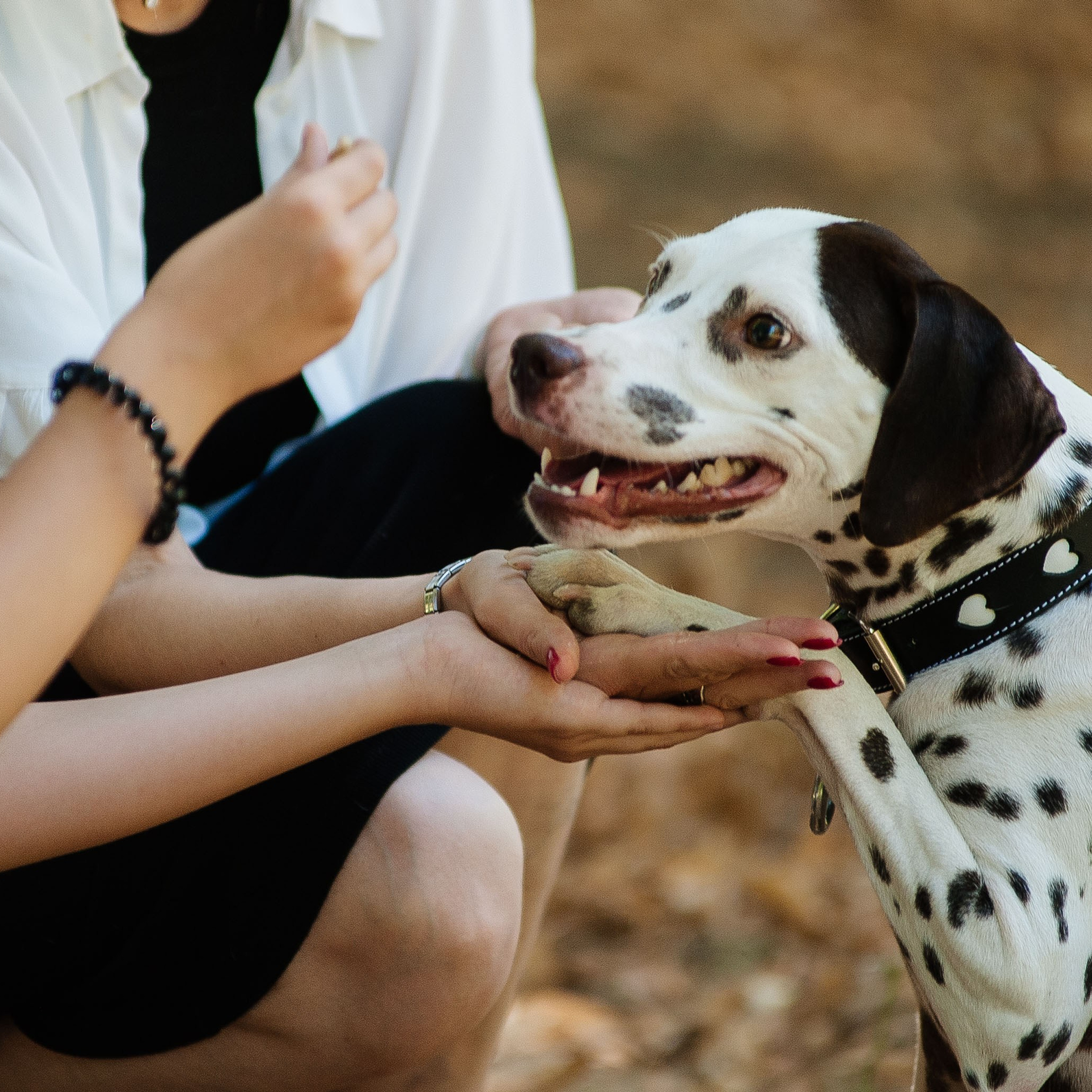 Семья Тимофеевых