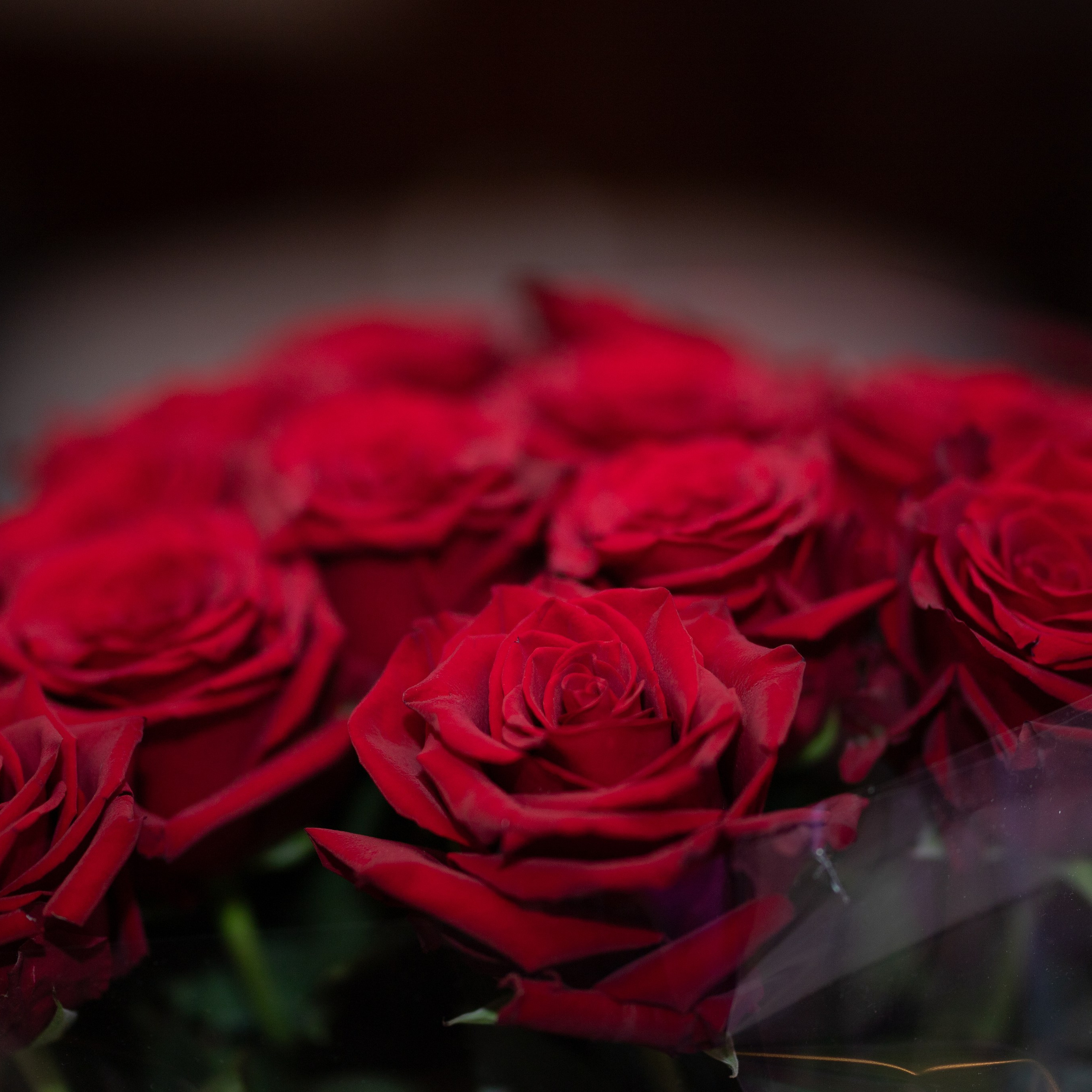 Отзывы. Семейный и детский фотограф в Москве Евгения Сухинина