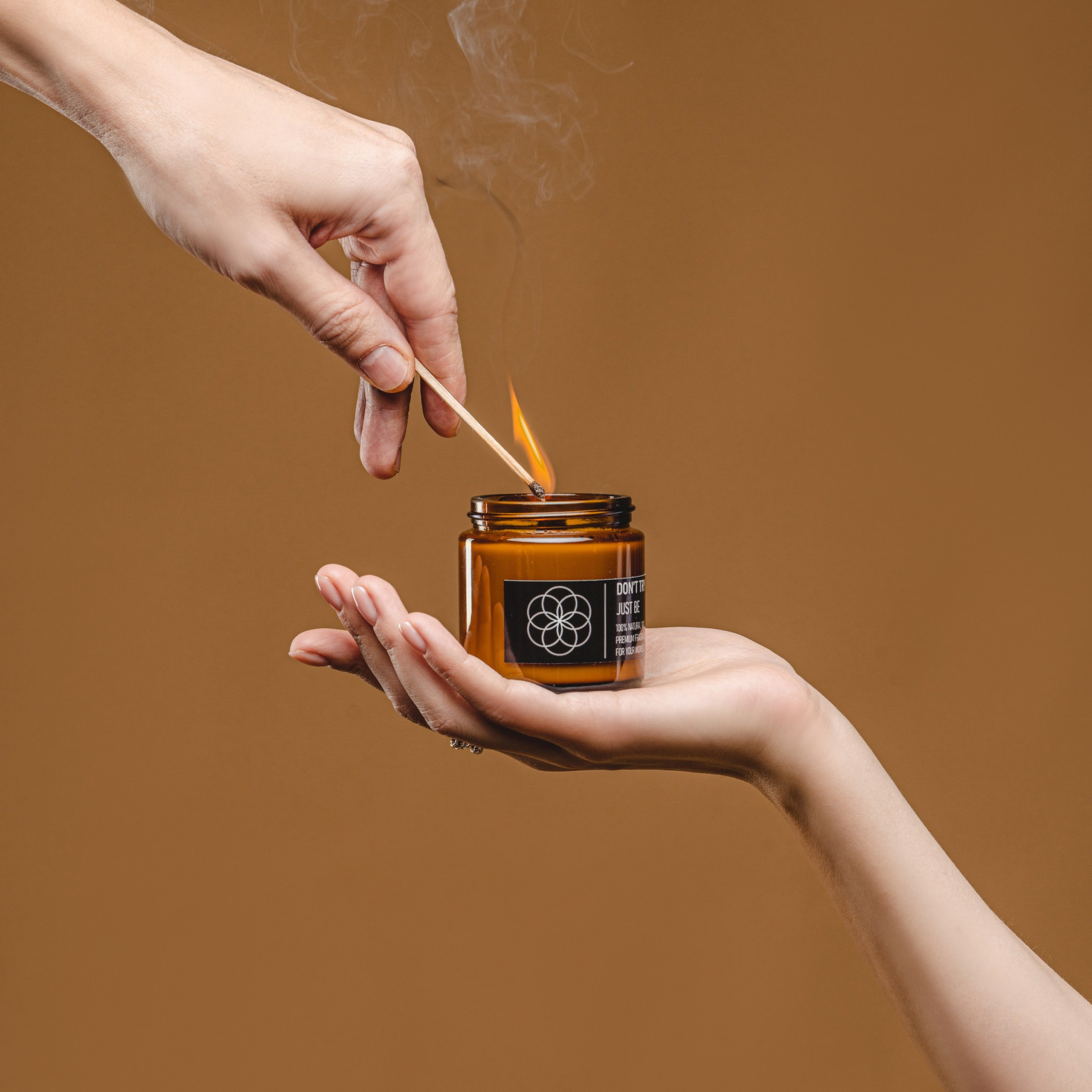 Главная. Студия Ивана Жданова