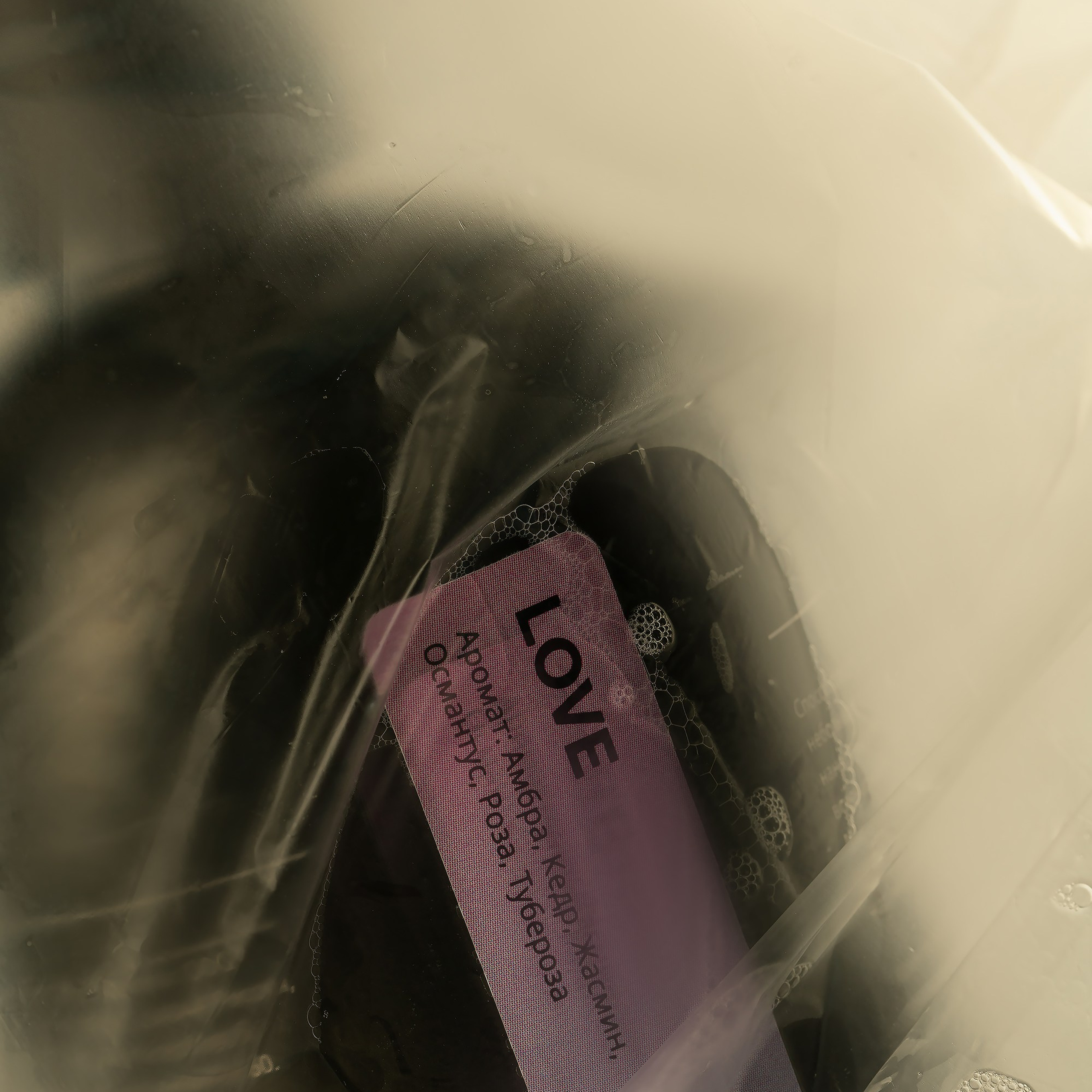 Главная. Студия Ивана Жданова