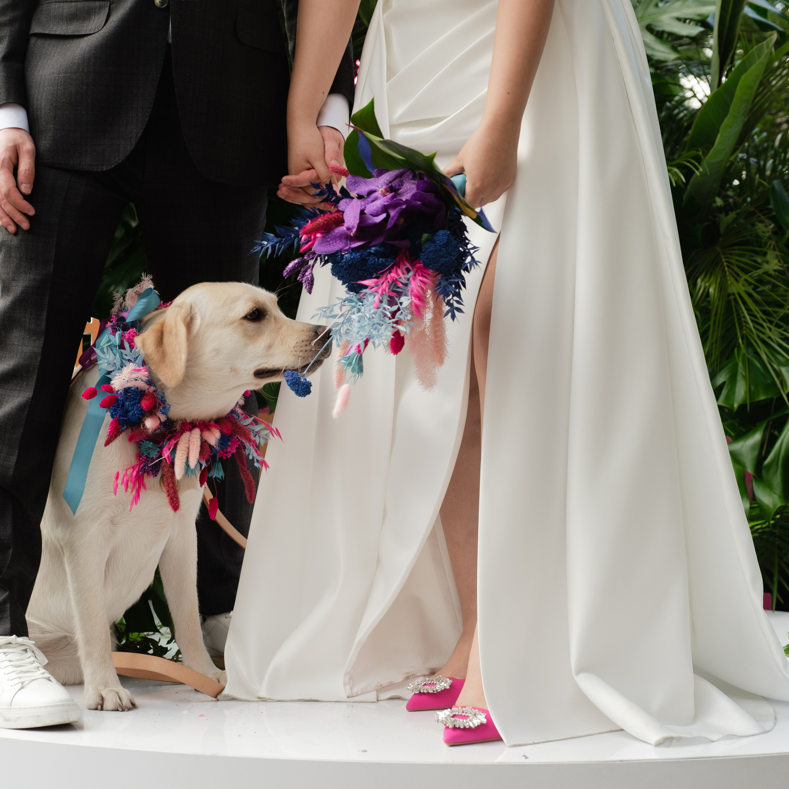 Дима и Айталина