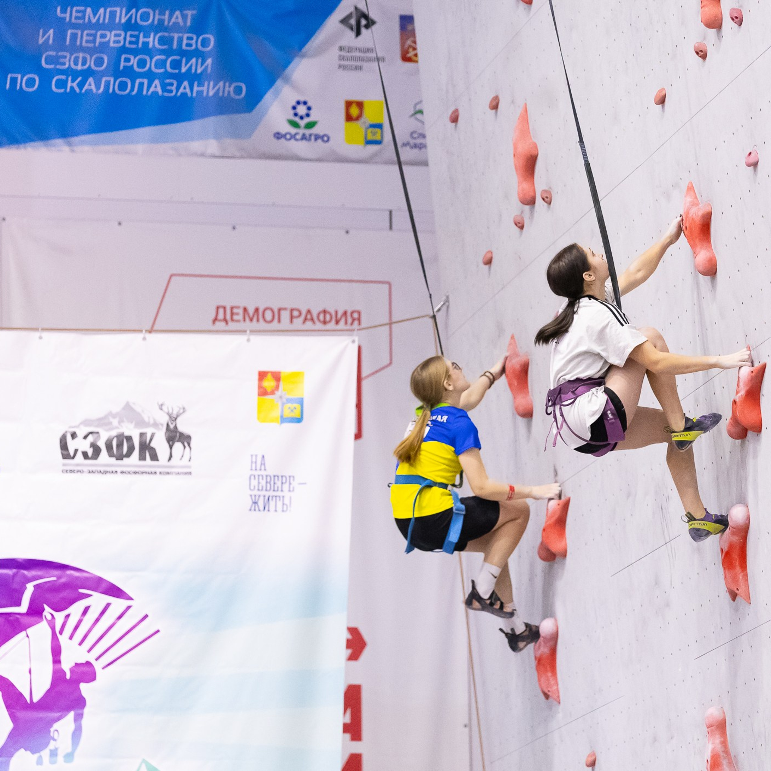 СЗФО по&nbsp;скалолазанию, Апатиты, февраль 2026