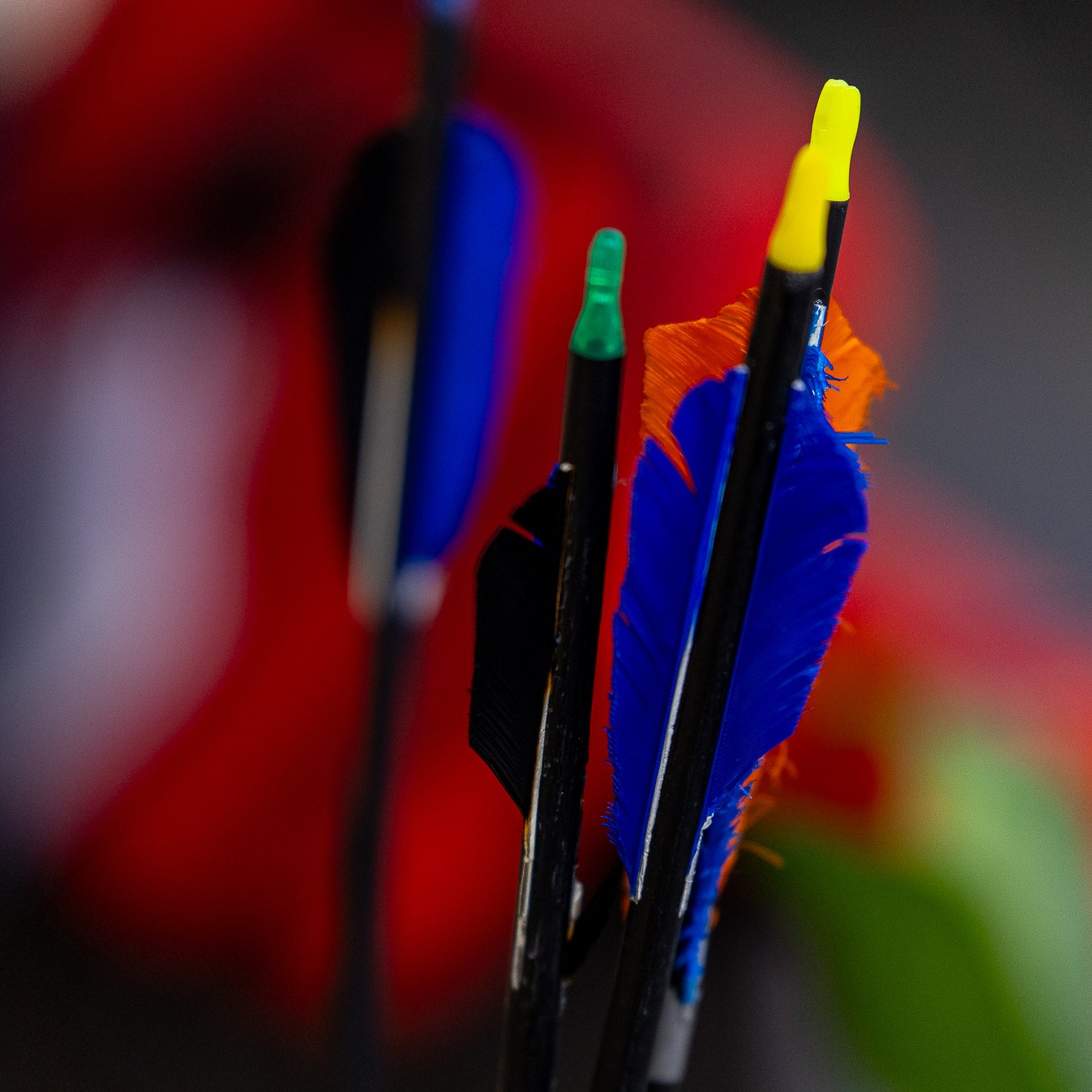 Стрельба из лука, Чемпионат и Первенство Карелии 2026