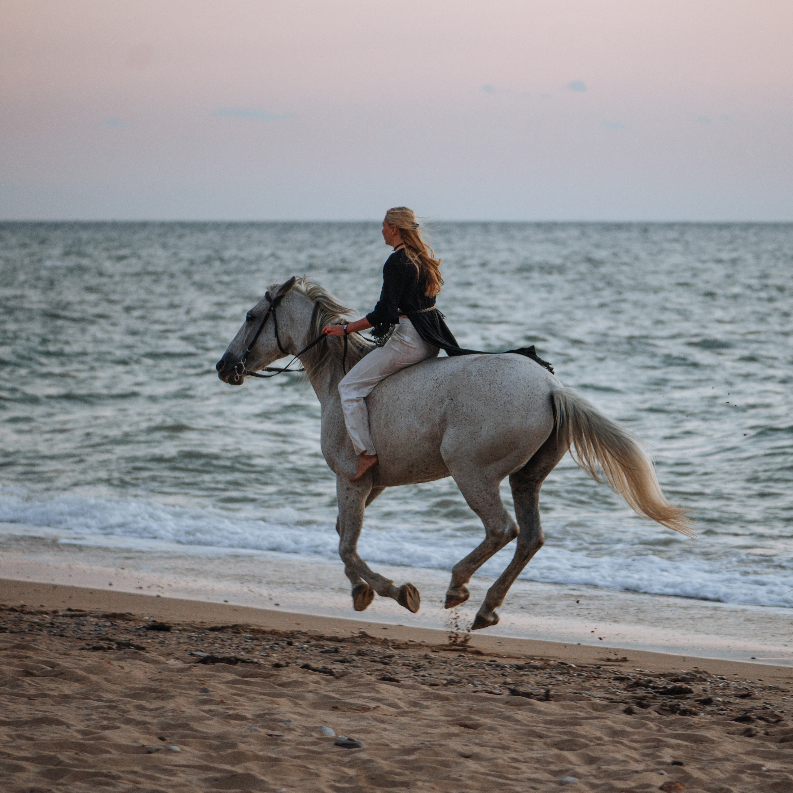Фотосессии с лошадьми. Свадебный фотограф в Севастополе