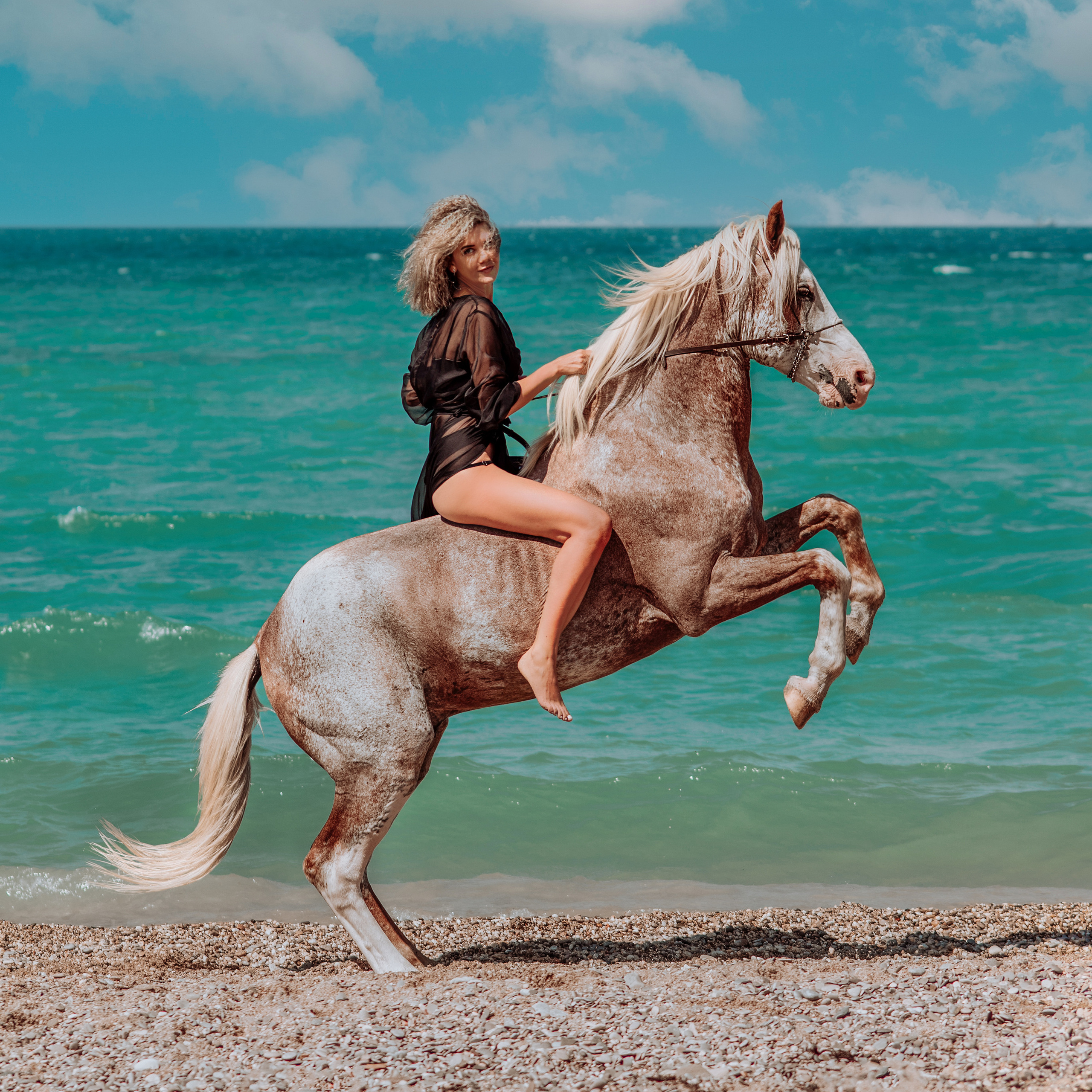 Фотосессии с лошадьми. Свадебный фотограф в Севастополе