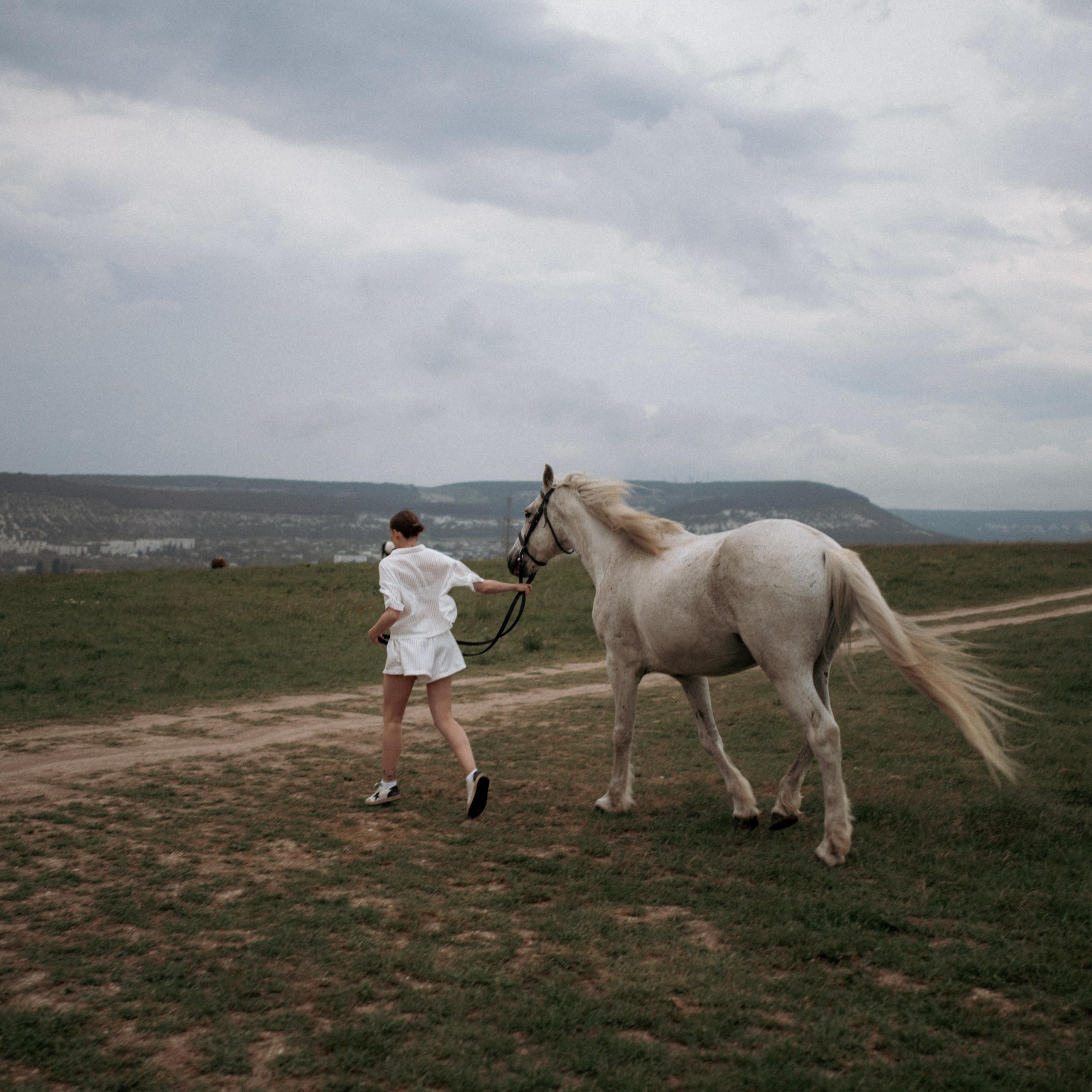 Фотосессии с лошадьми. Свадебный фотограф в Севастополе