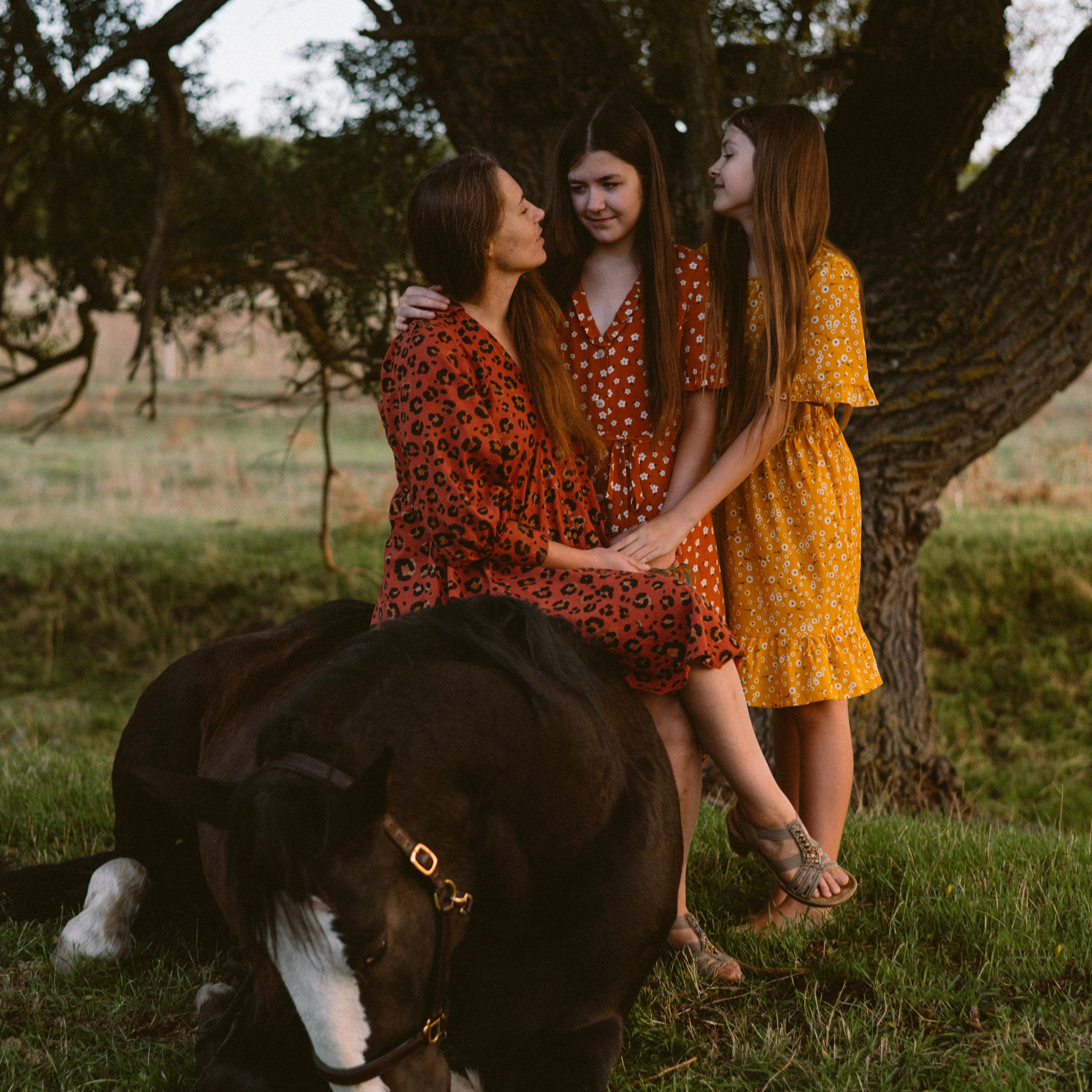 Фотосессии с лошадьми. Свадебный фотограф в Севастополе