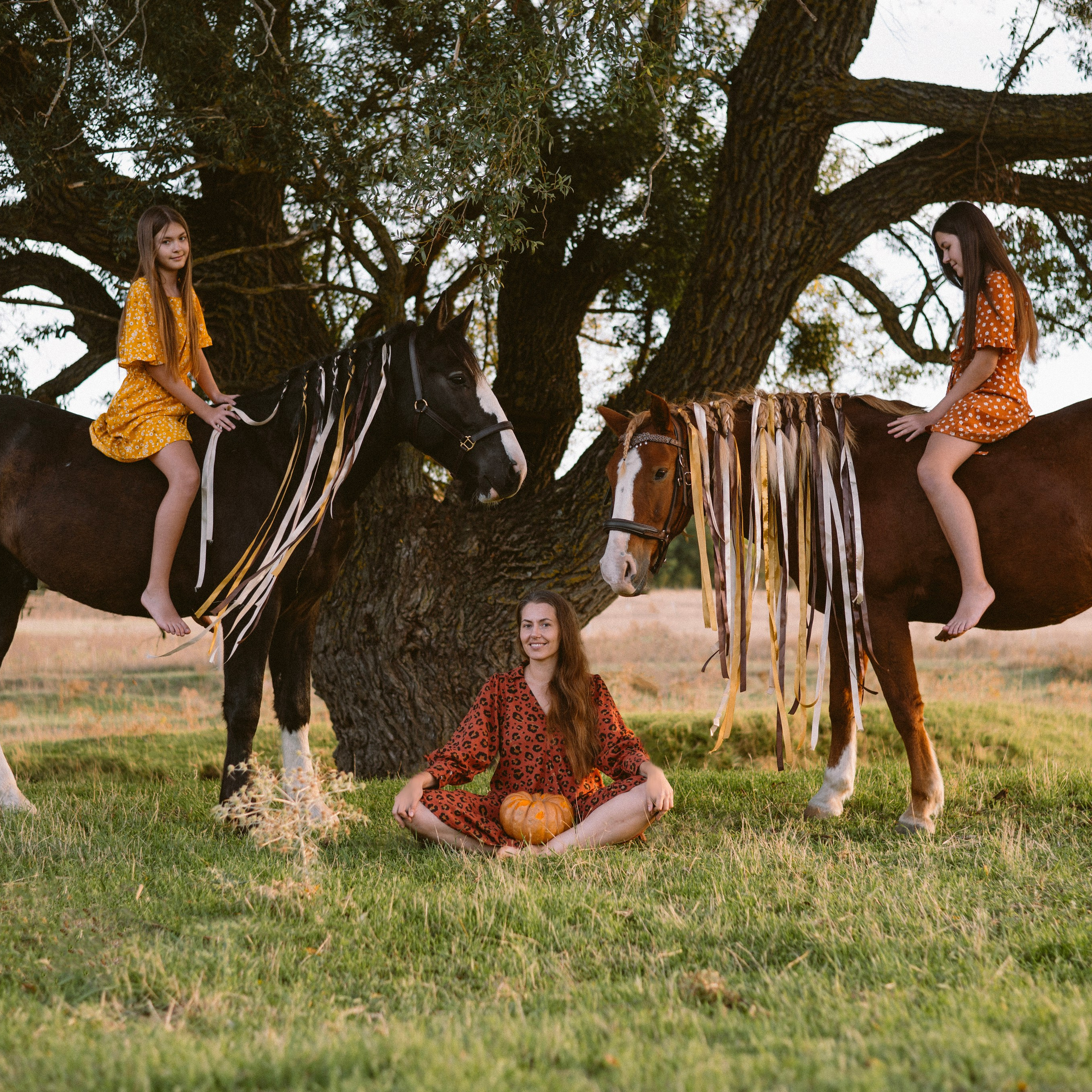 Фотосессии с лошадьми. Свадебный фотограф в Севастополе