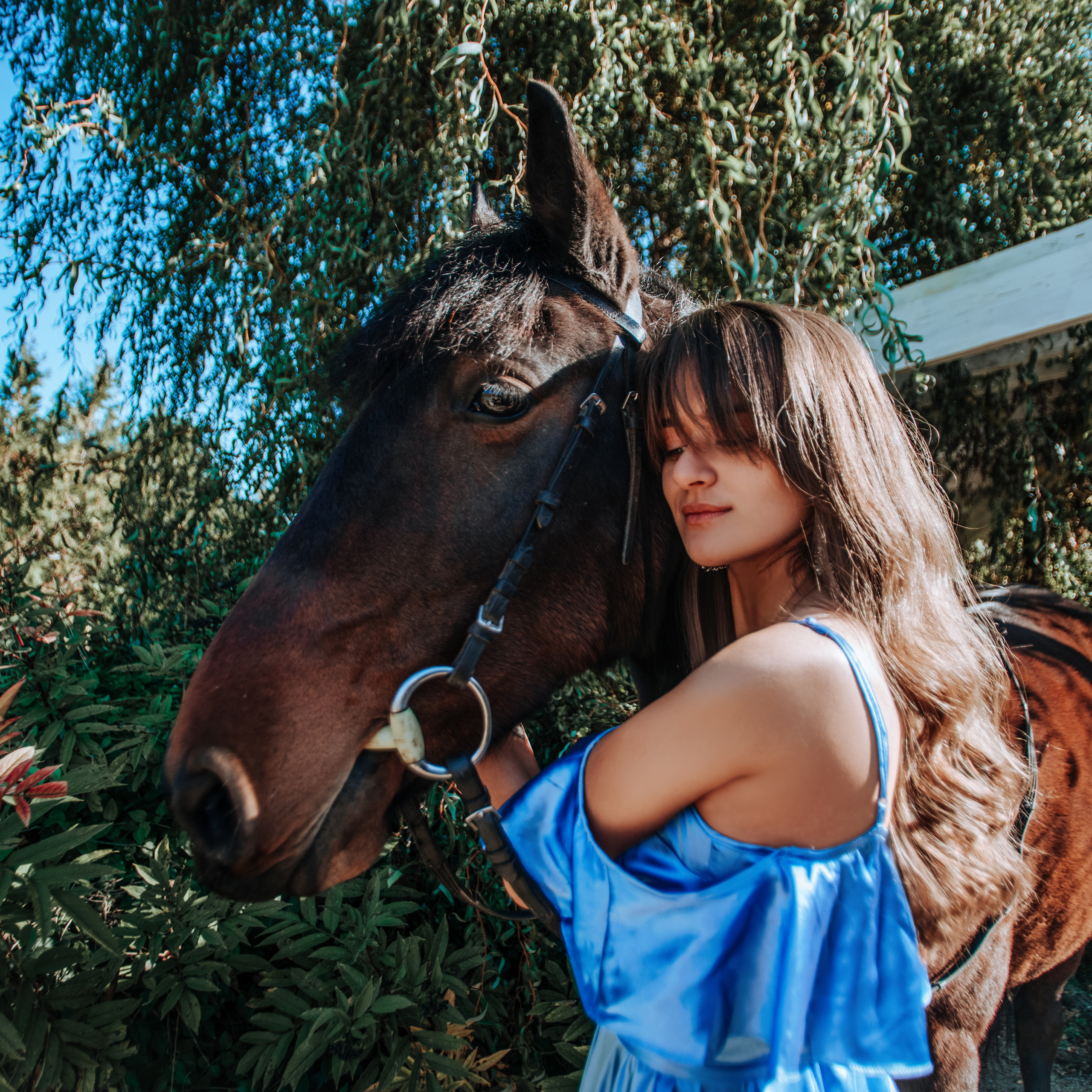 Фотосессии с лошадьми. Свадебный фотограф в Севастополе