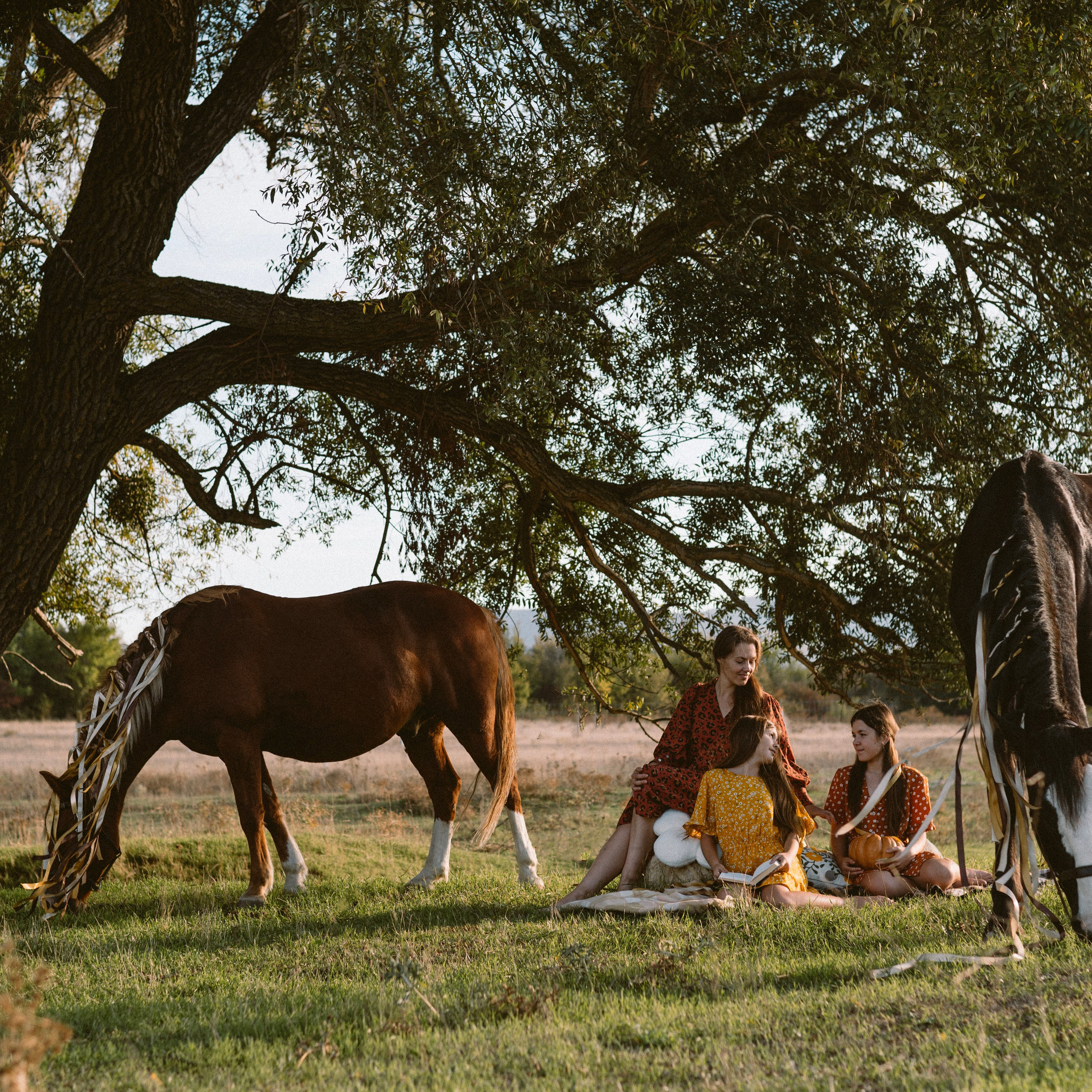 Фотосессии с лошадьми. Свадебный фотограф в Севастополе