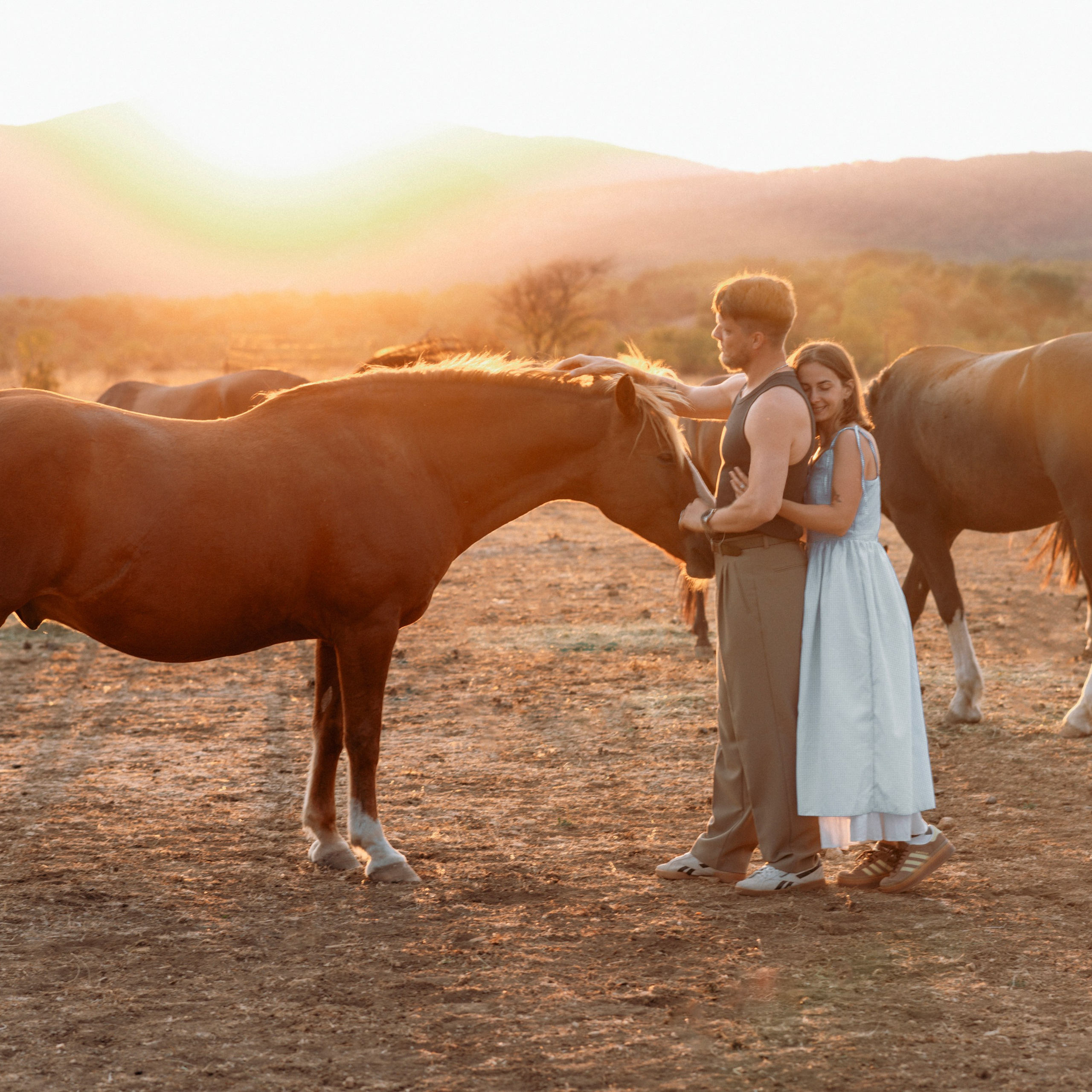 Фотосессии с лошадьми. Свадебный фотограф в Севастополе