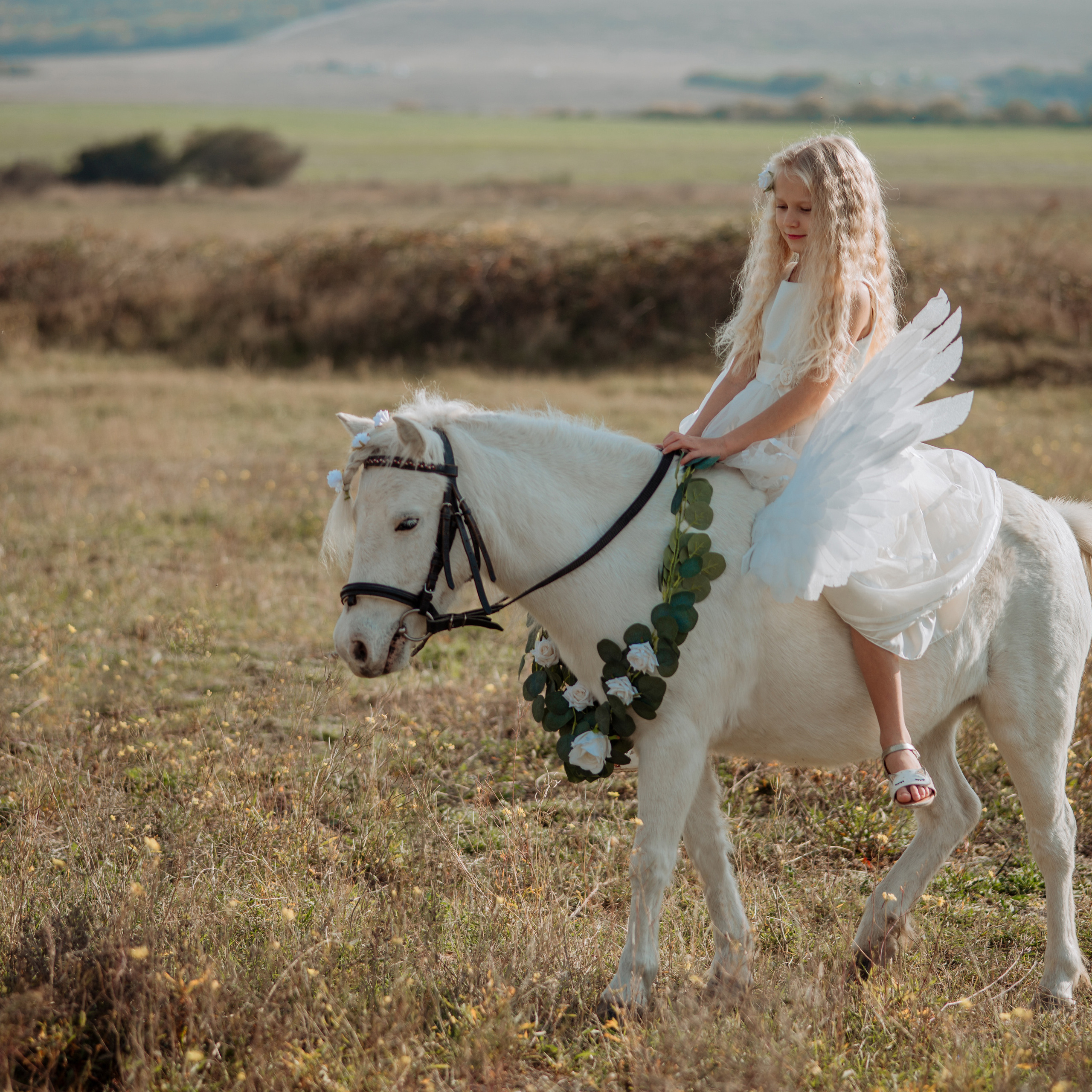 Фотосессии с лошадьми. Свадебный фотограф в Севастополе