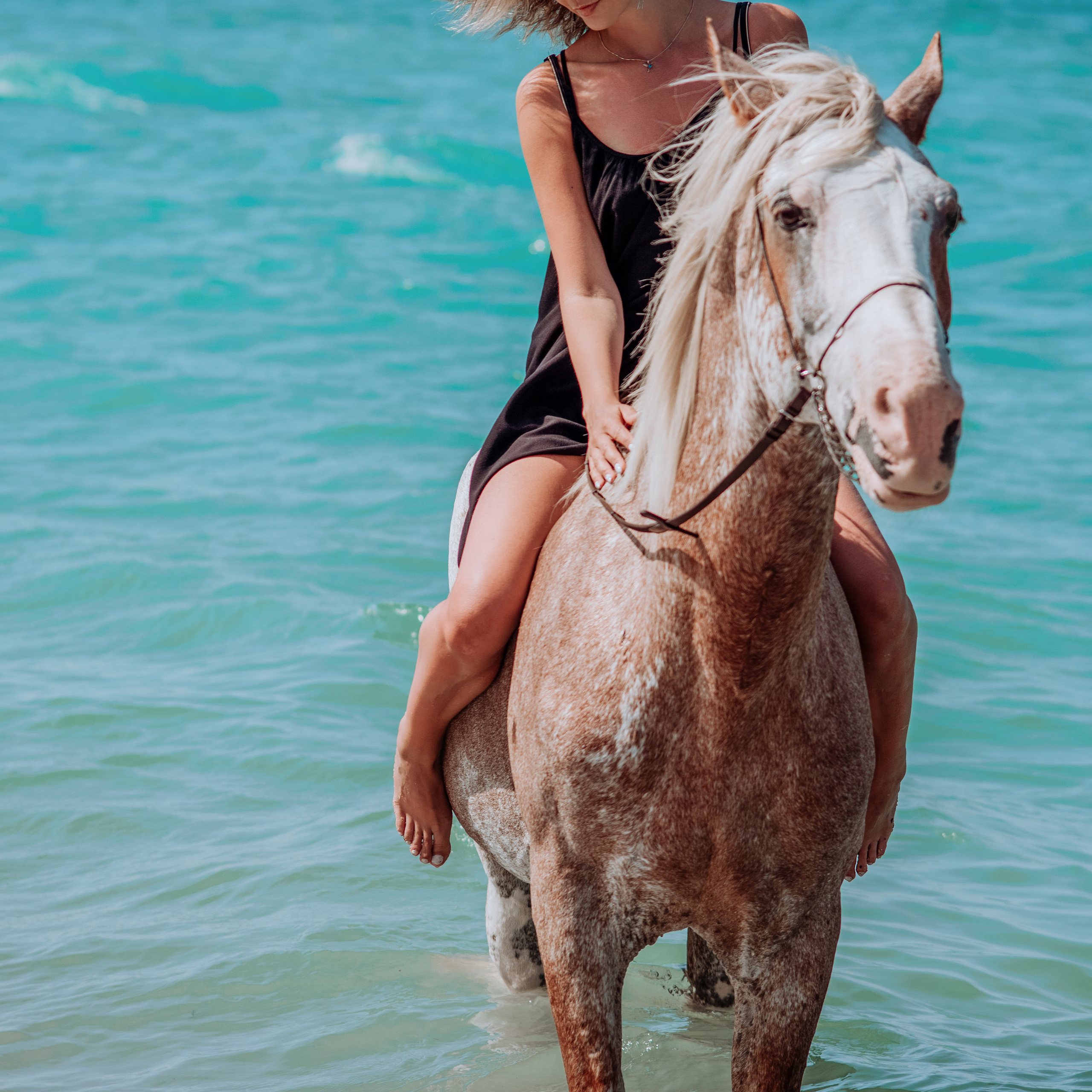 Фотосессии с лошадьми. Свадебный фотограф в Севастополе