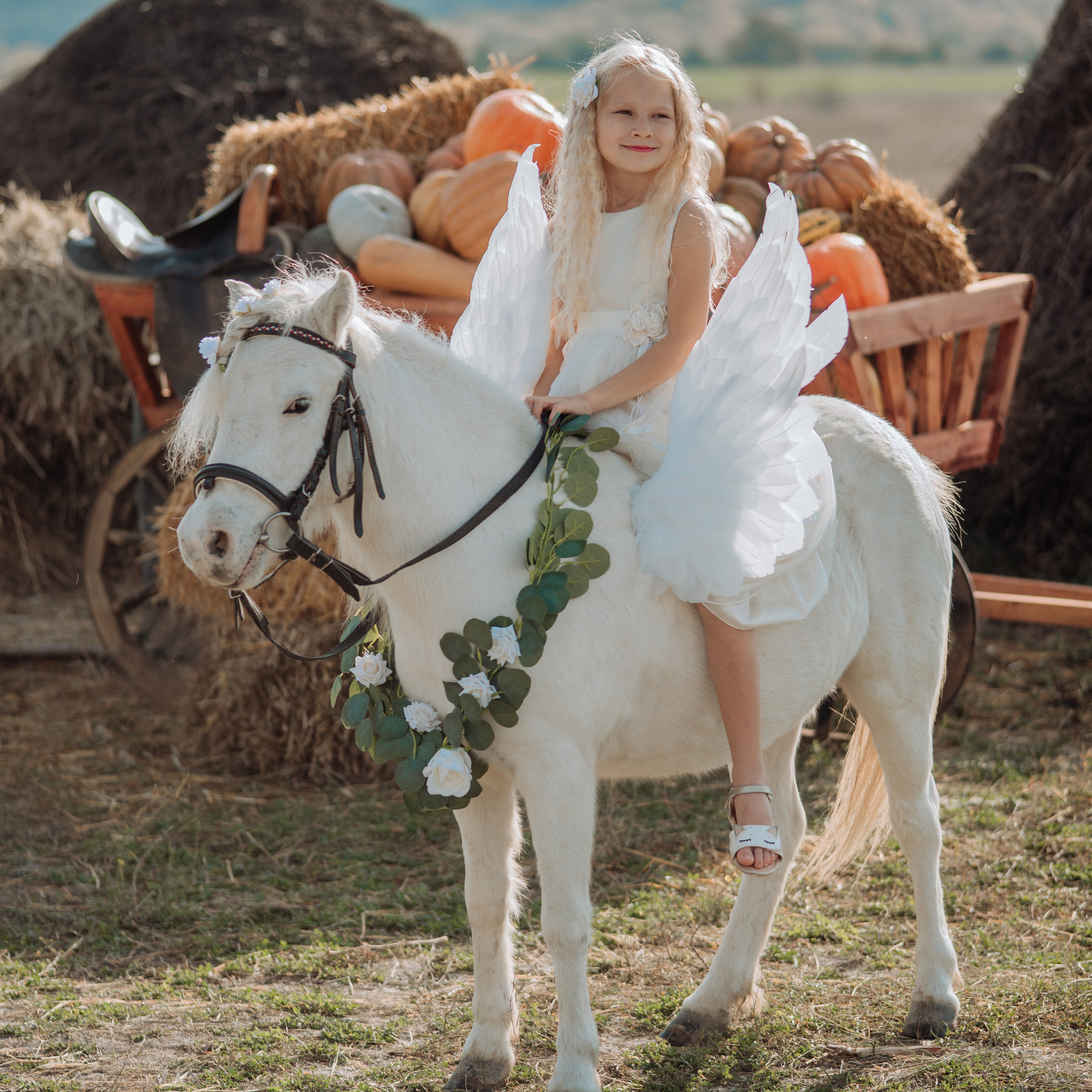 Фотосессии с лошадьми. Свадебный фотограф в Севастополе