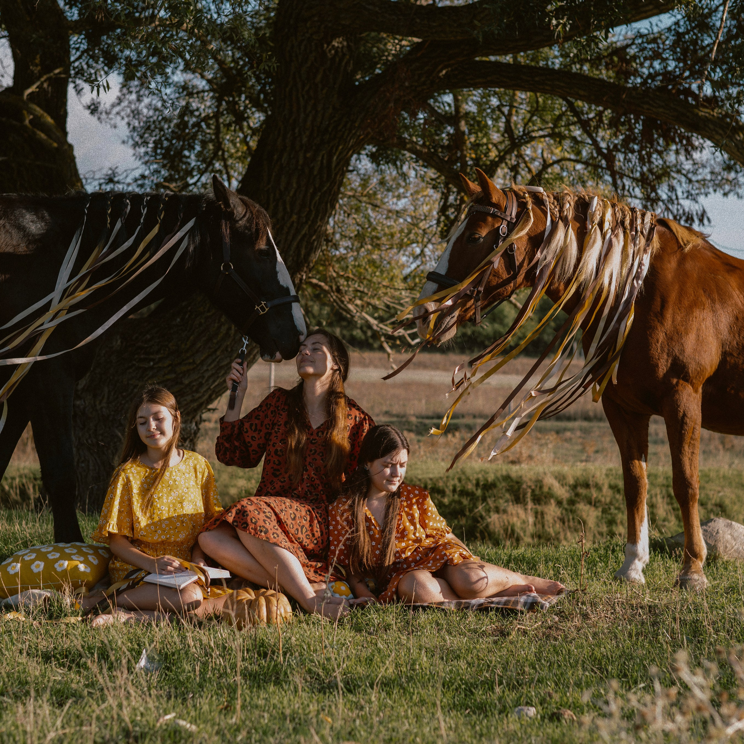 Фотосессии с лошадьми. Свадебный фотограф в Севастополе