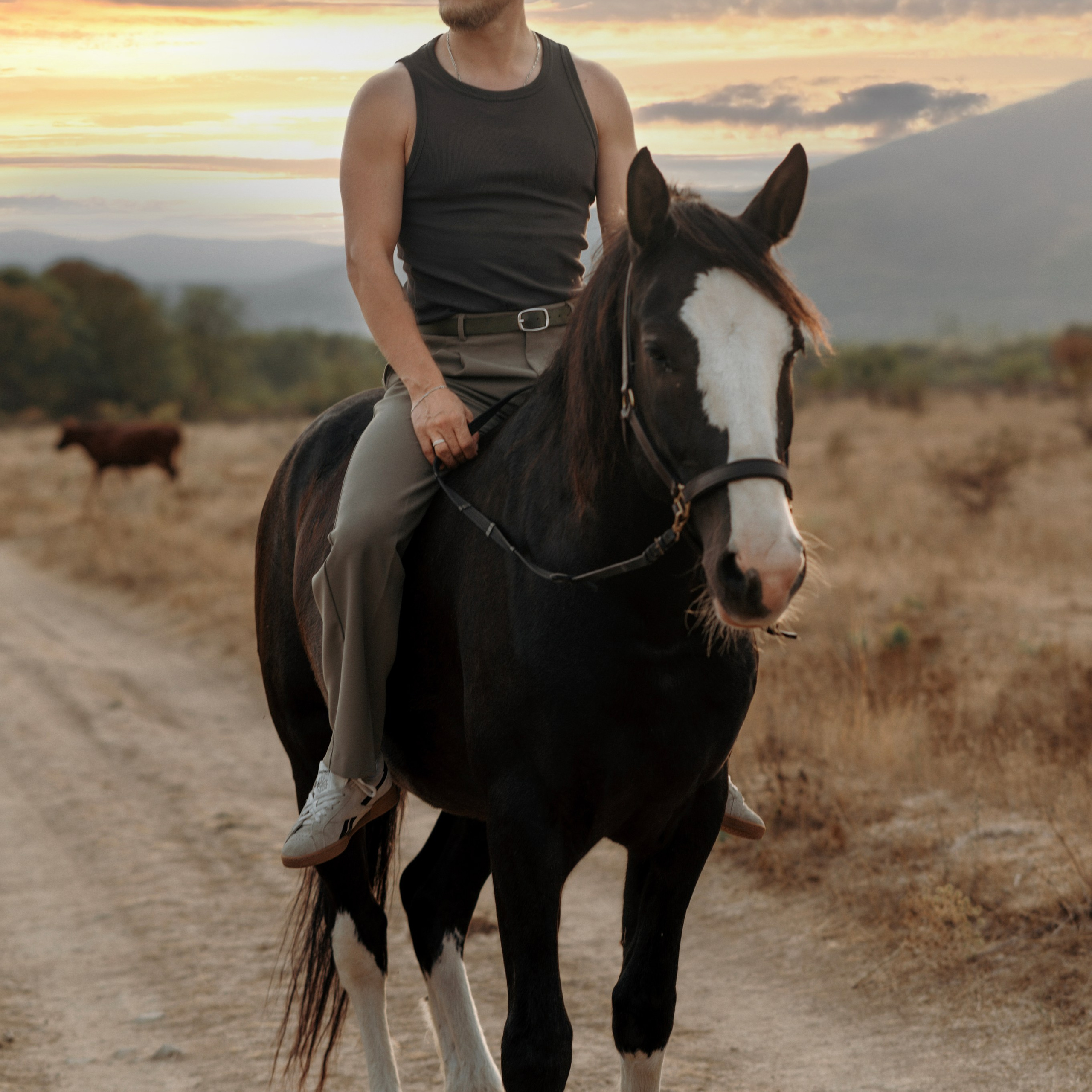 Фотосессии с лошадьми. Свадебный фотограф в Севастополе