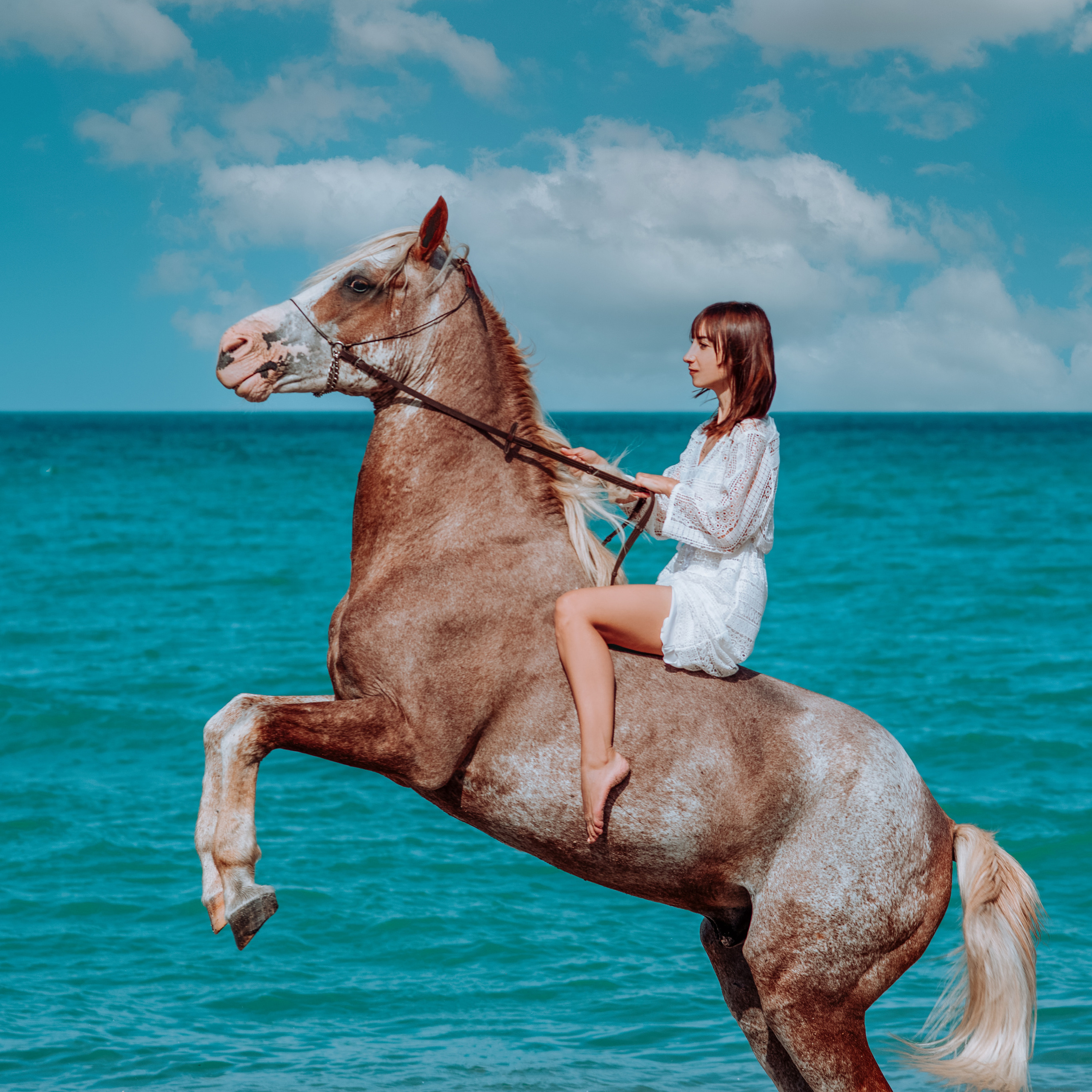 Фотосессии с лошадьми. Свадебный фотограф в Севастополе