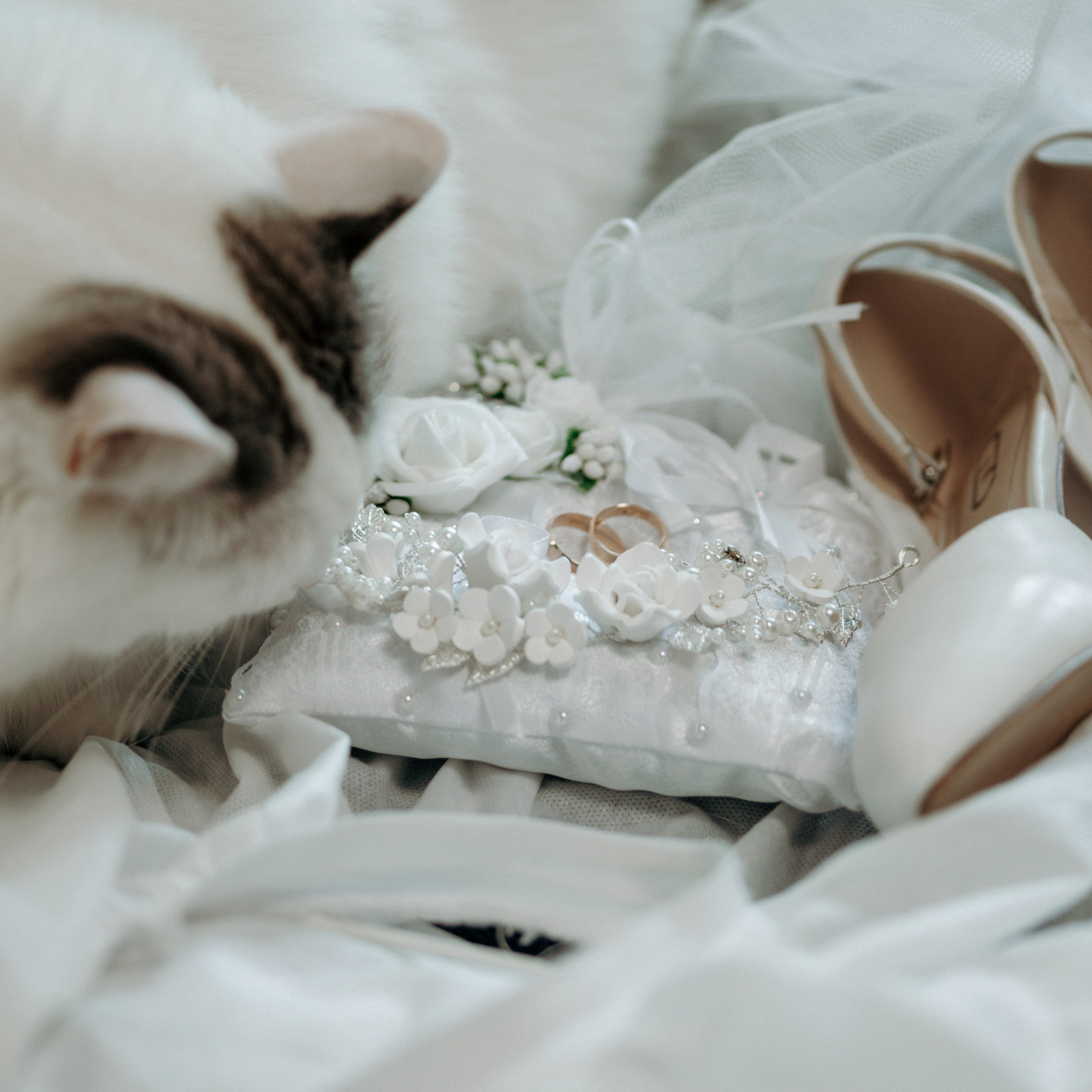 Елизавета и Дмитрий 28.06.2025. Свадебный фотограф в Севастополе