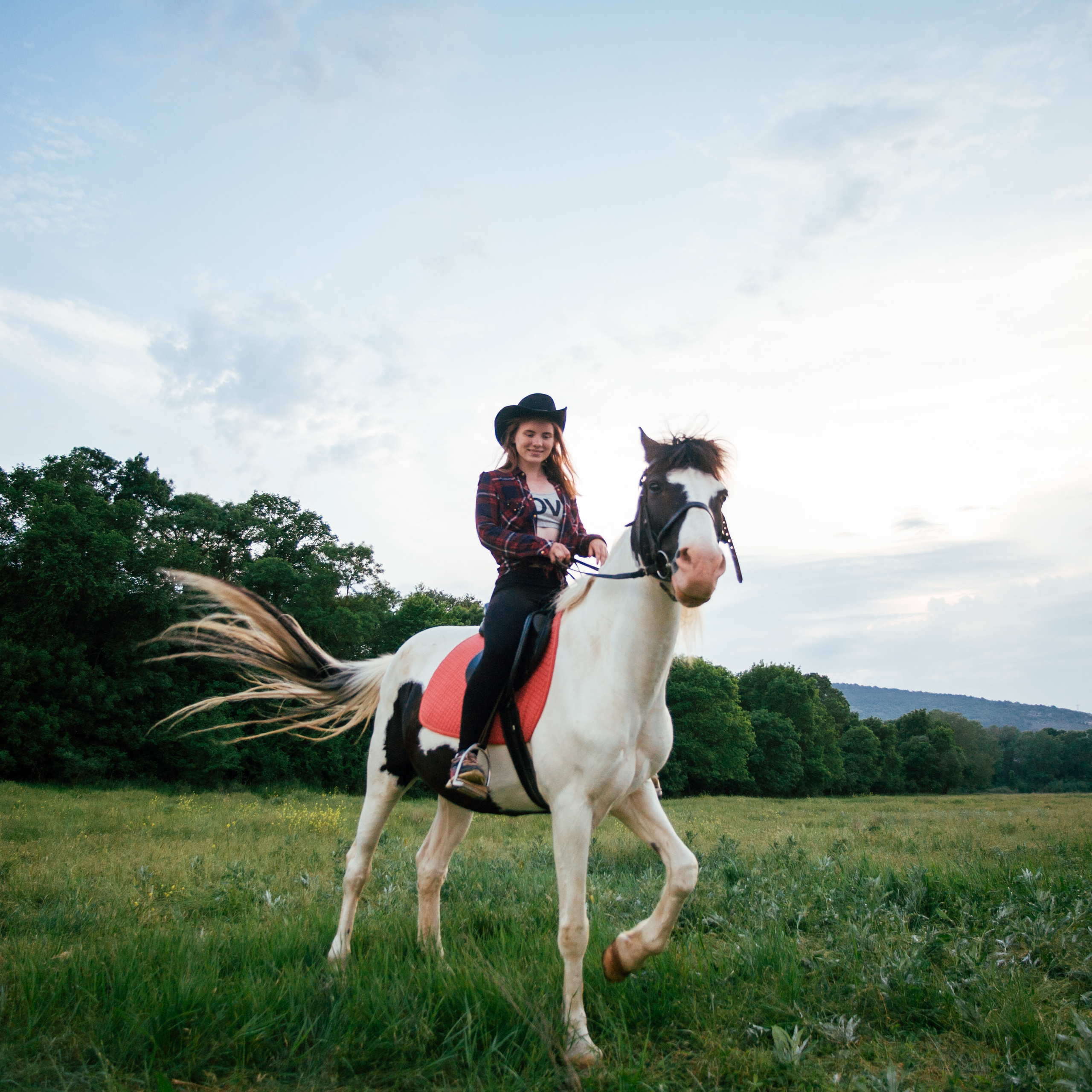Фотосессии с лошадьми. Свадебный фотограф в Севастополе