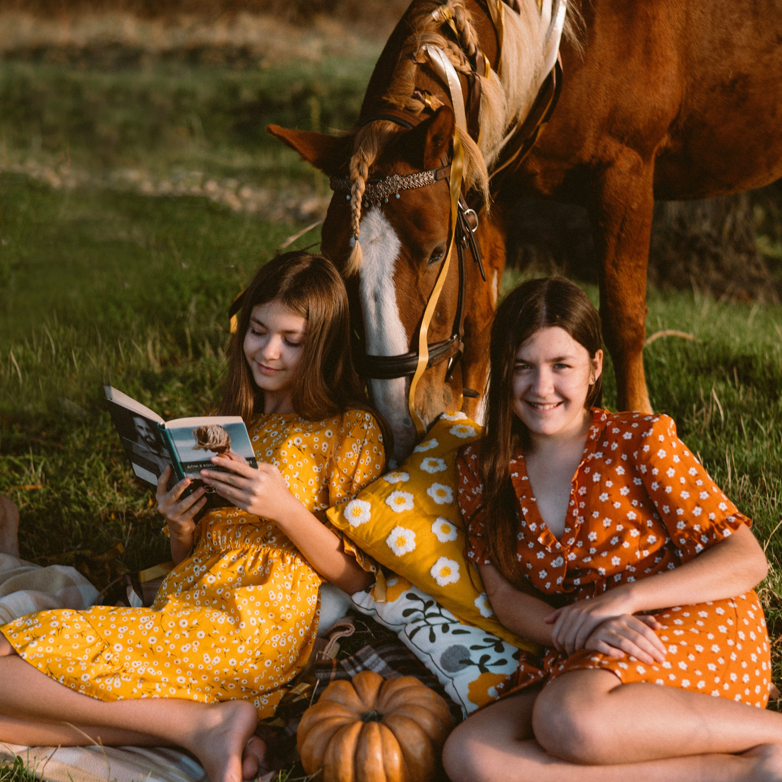 Фотосессии с лошадьми. Свадебный фотограф в Севастополе