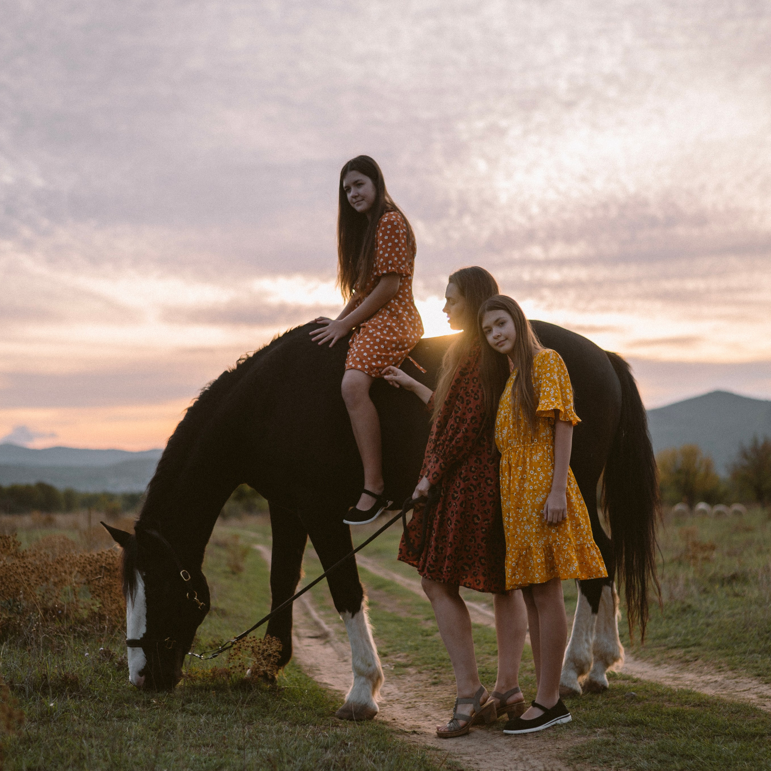 Фотосессии с лошадьми. Свадебный фотограф в Севастополе
