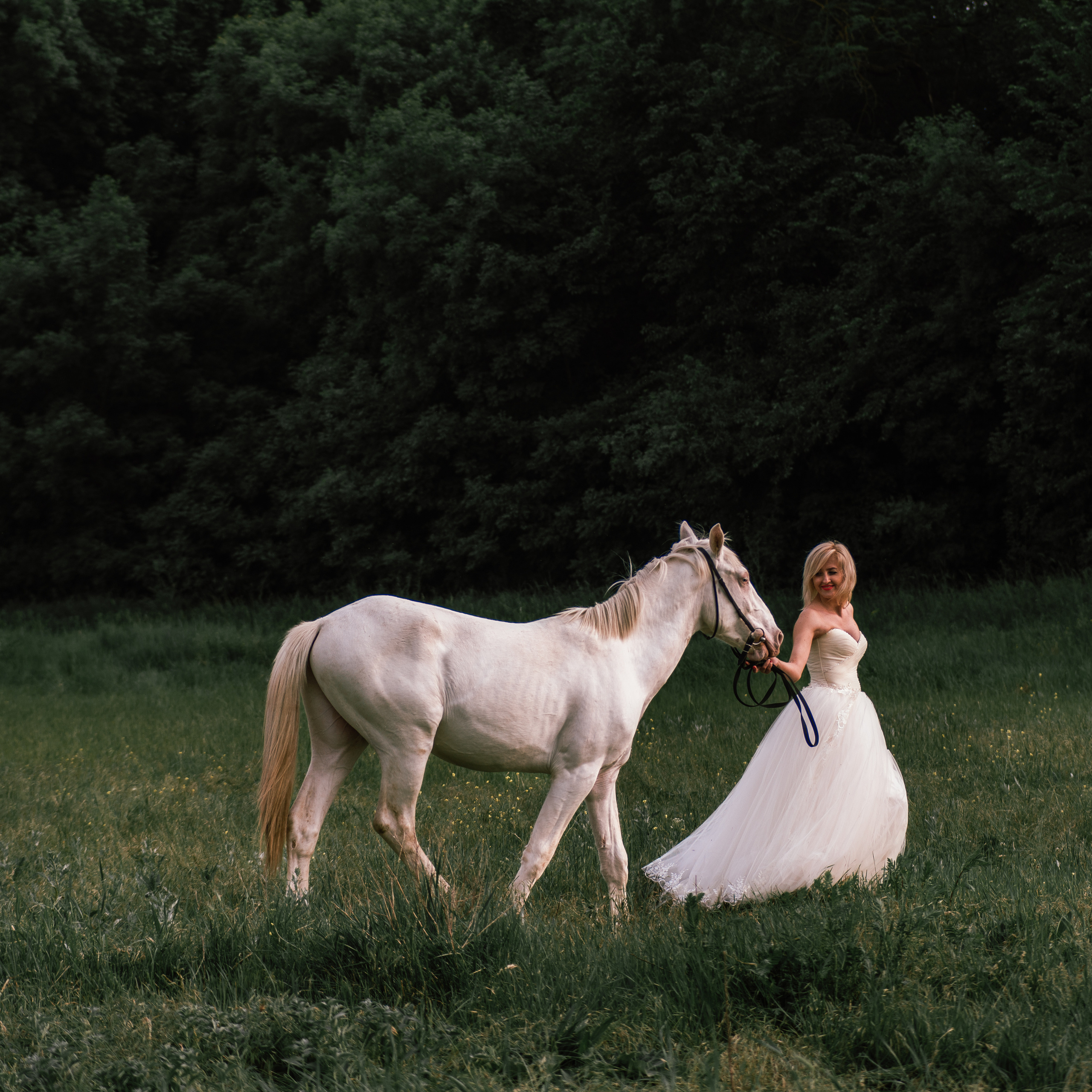 Фотосессии с лошадьми. Свадебный фотограф в Севастополе