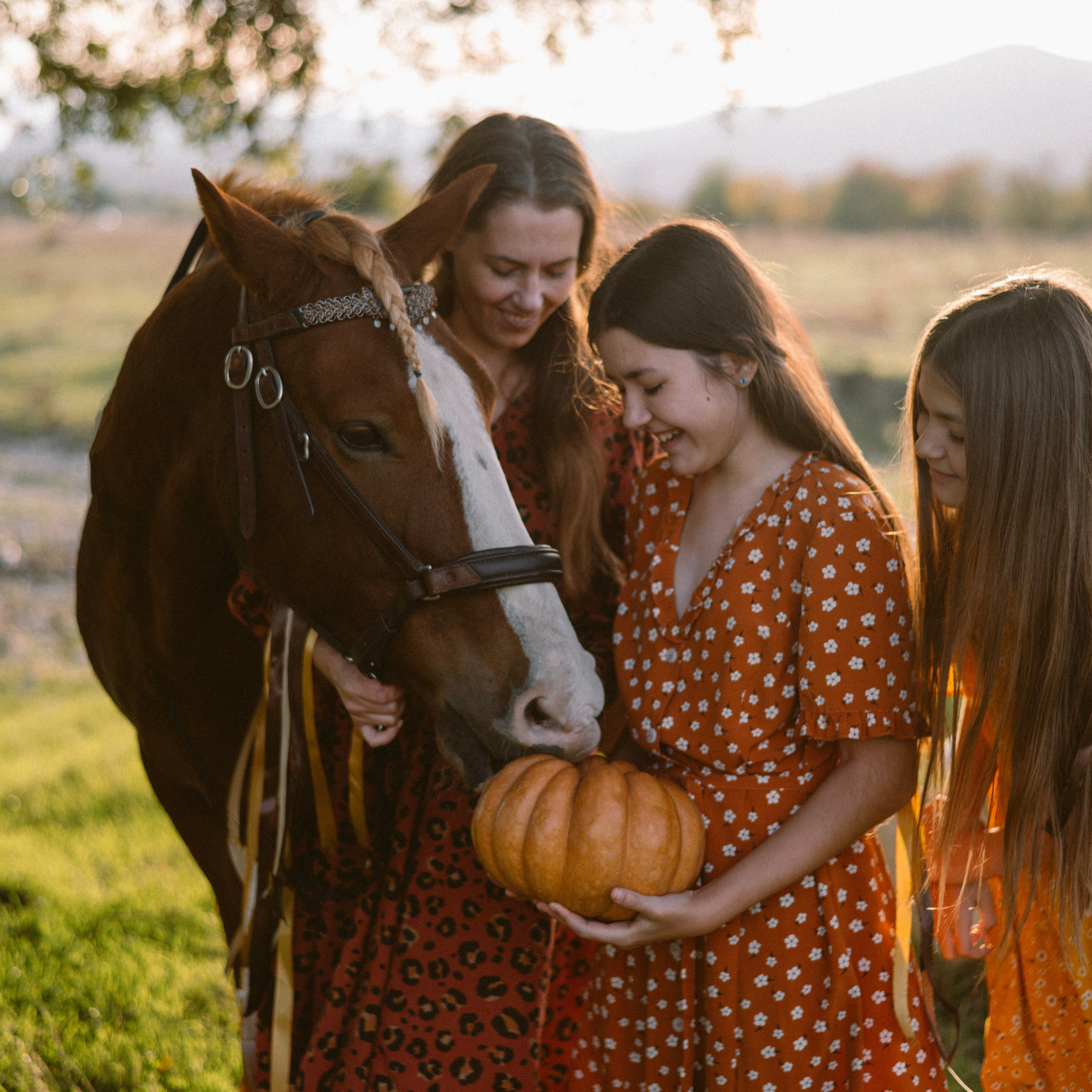 Фотосессии с лошадьми. Свадебный фотограф в Севастополе