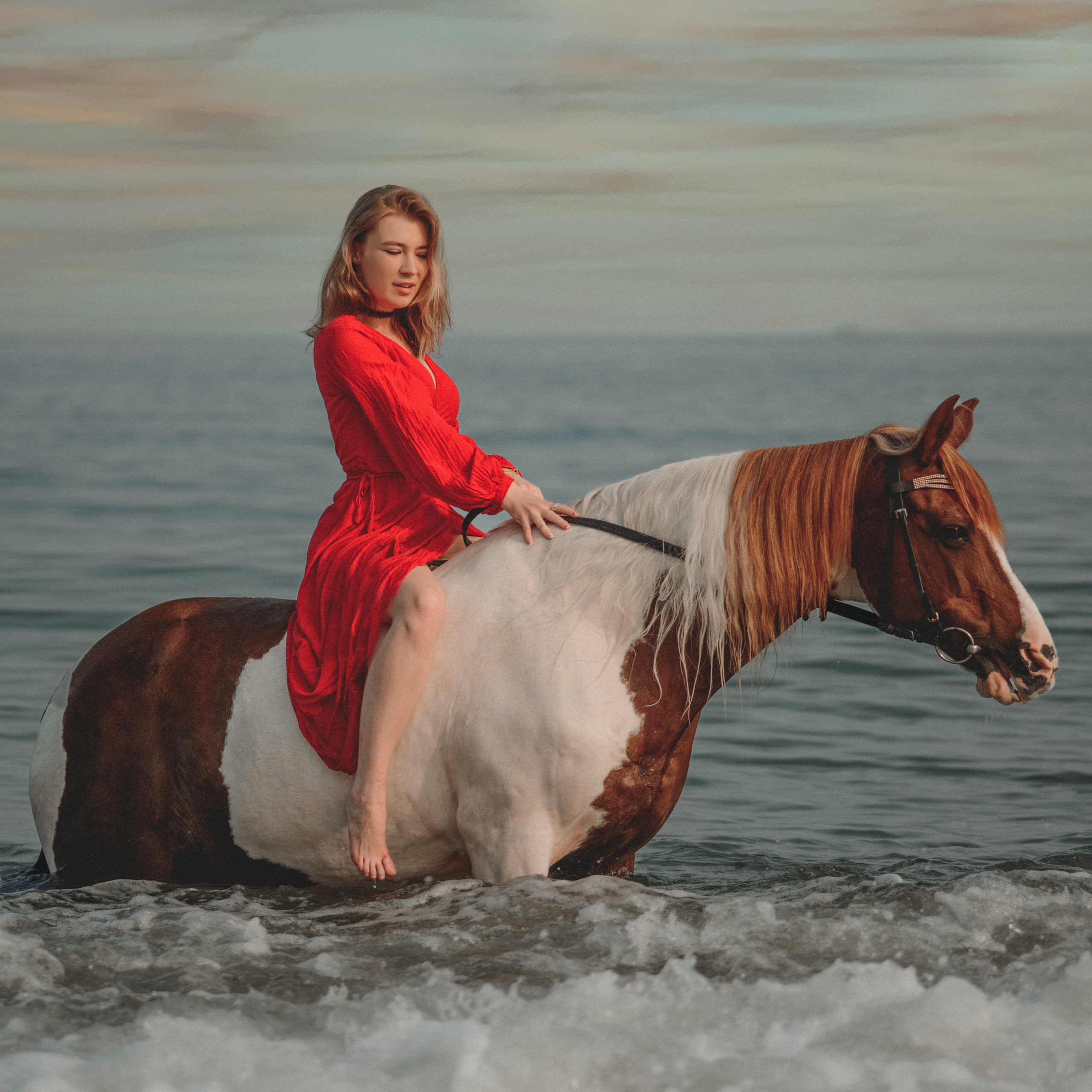 Фотосессии с лошадьми. Свадебный фотограф в Севастополе