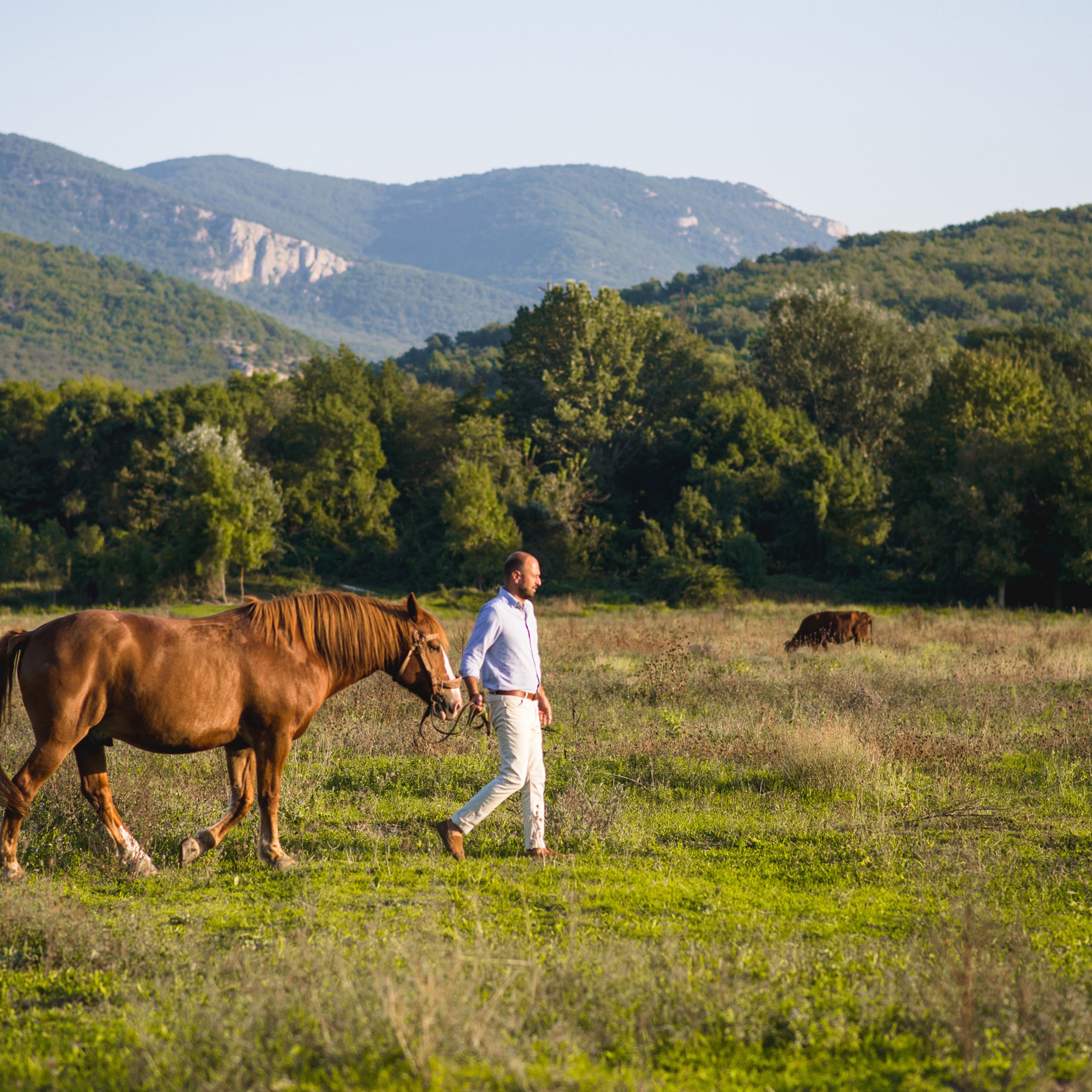 Love-story (лавстори). Свадебный фотограф в Севастополе