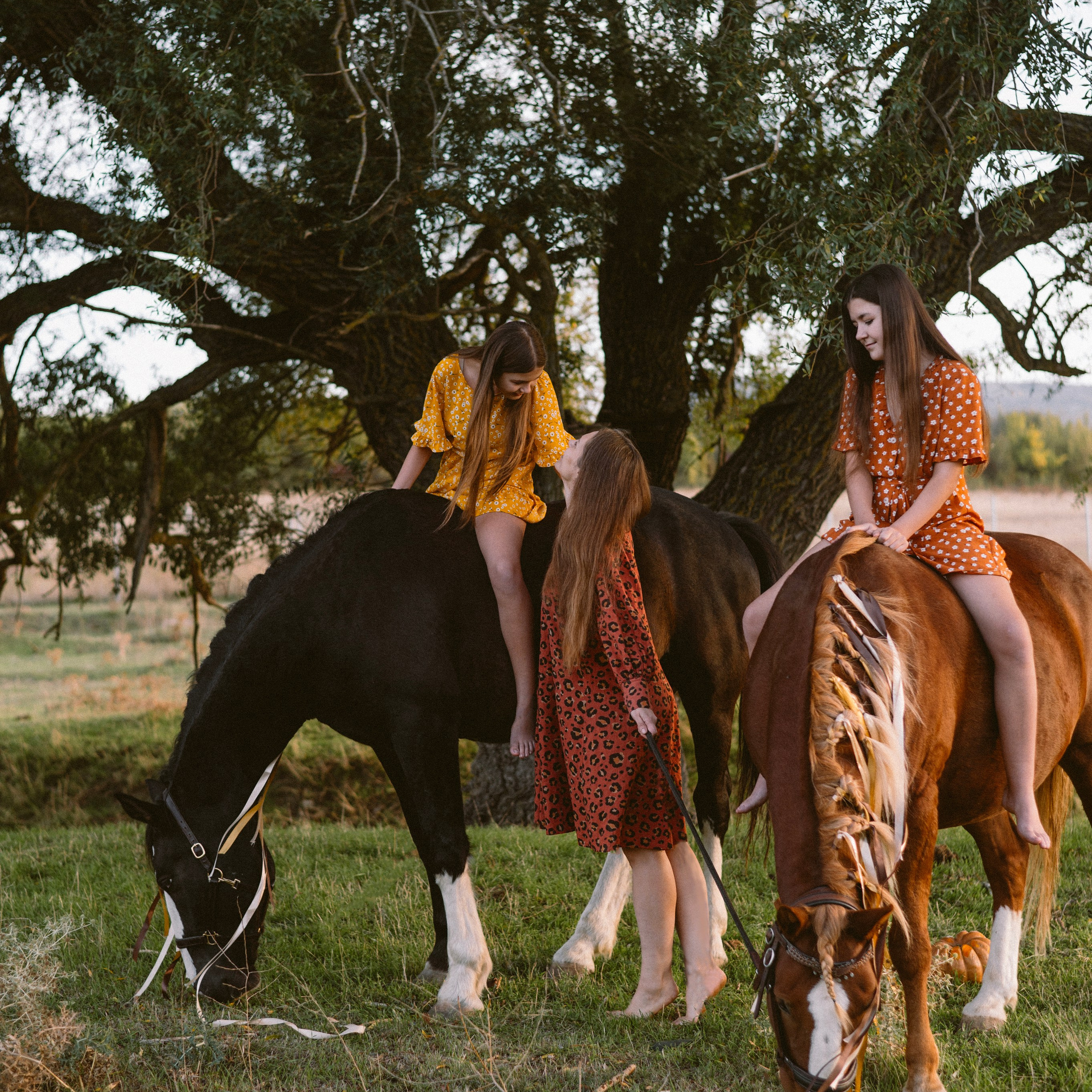 Фотосессии с лошадьми. Свадебный фотограф в Севастополе