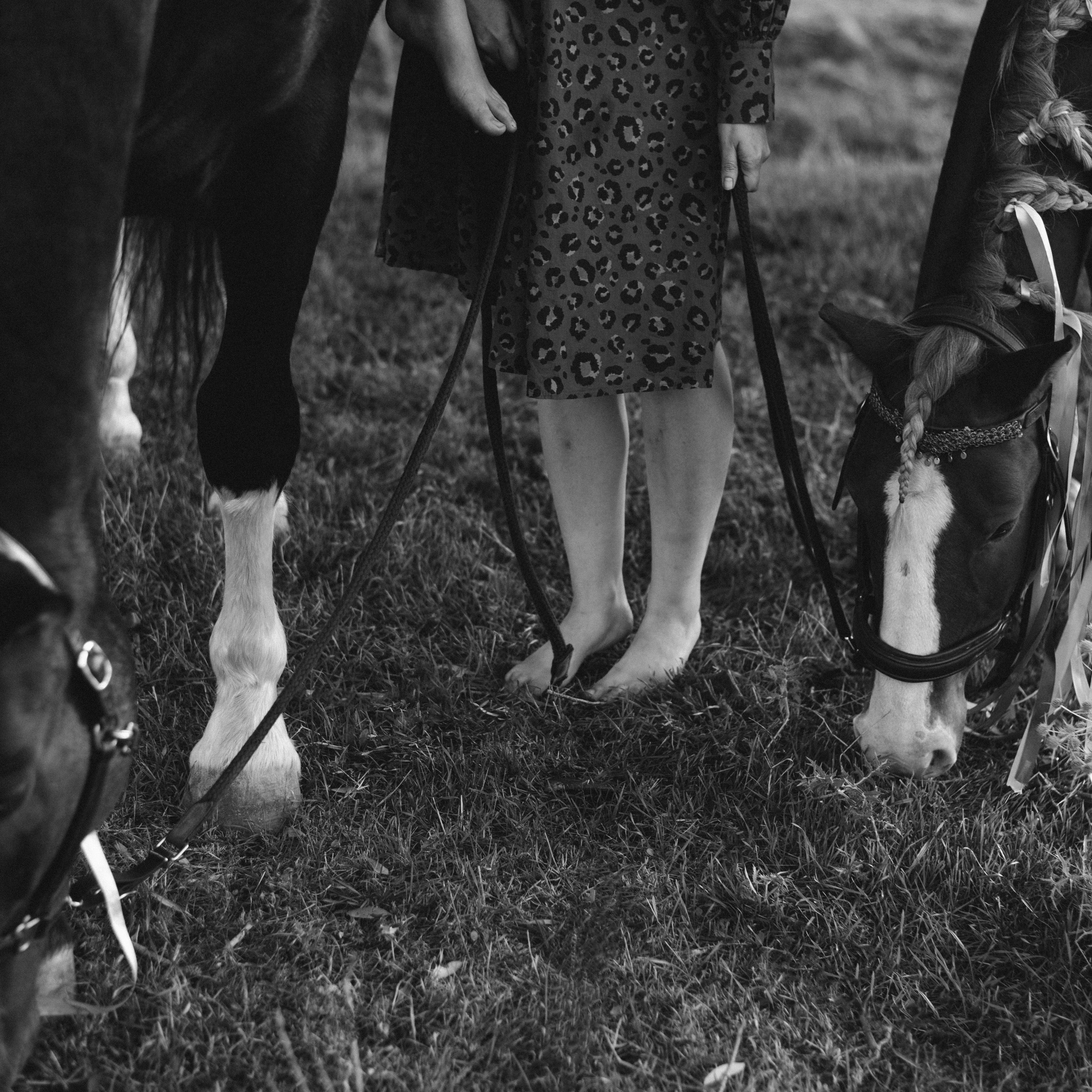 Фотосессии с лошадьми. Свадебный фотограф в Севастополе