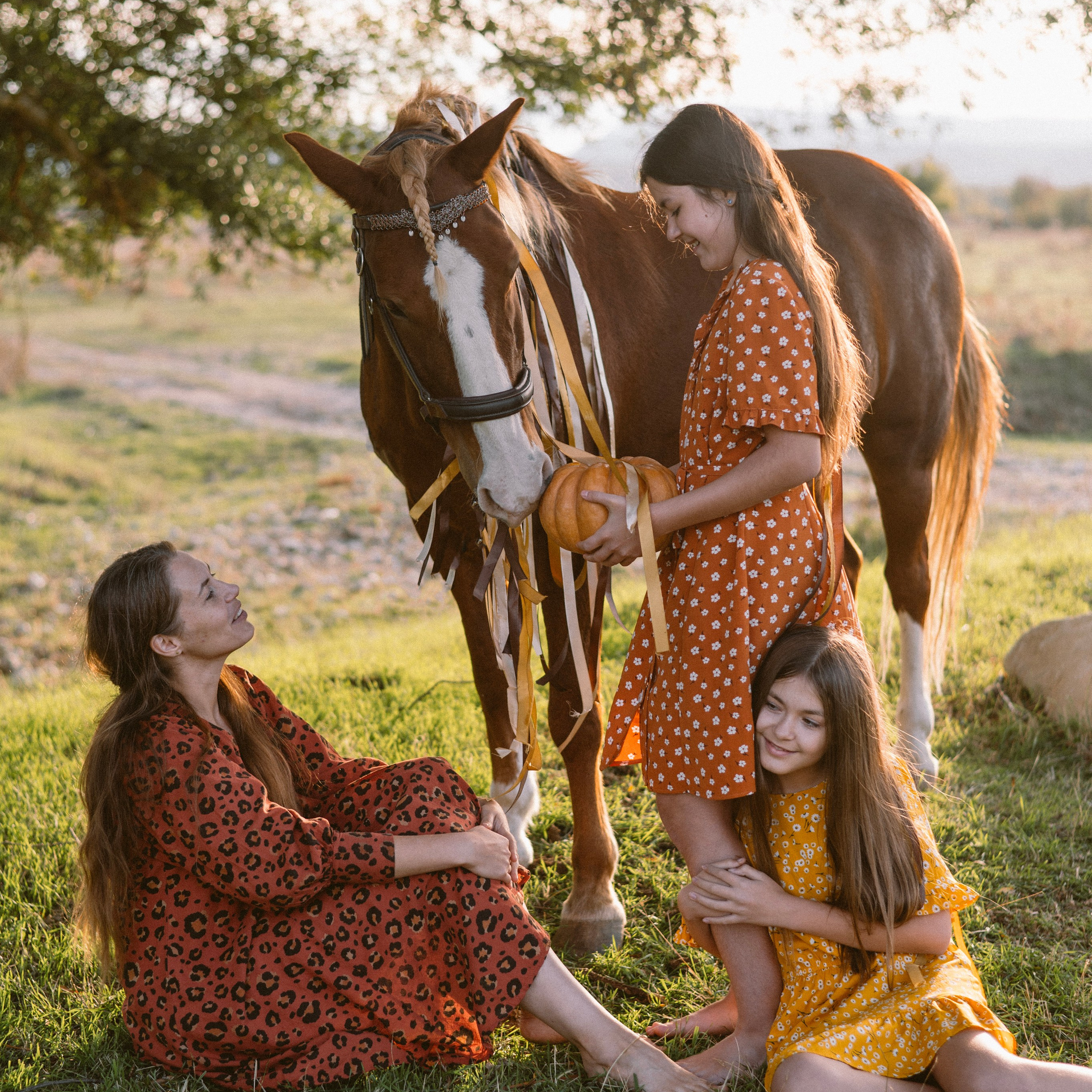 Фотосессии с лошадьми. Свадебный фотограф в Севастополе