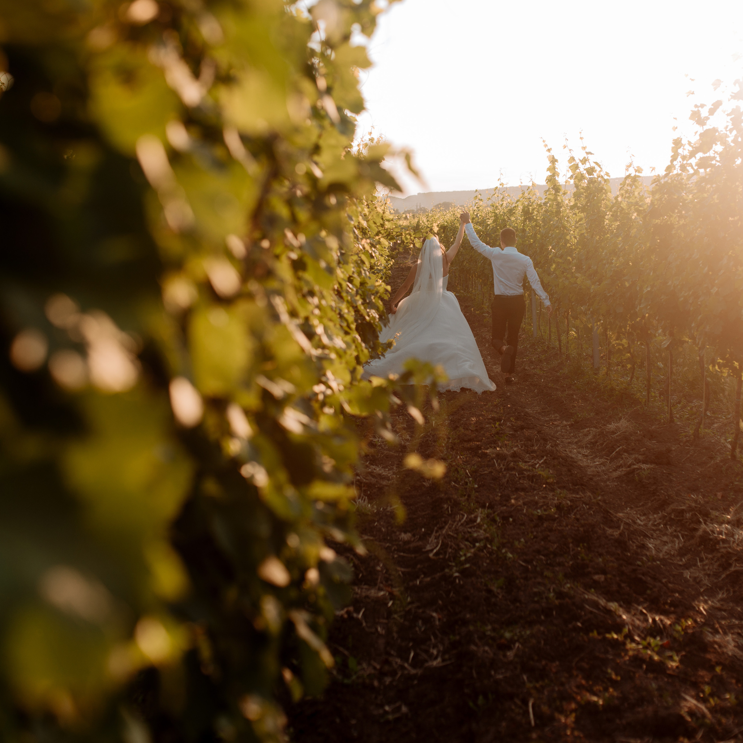Екатерина и Глеб. Свадебный фотограф в Севастополе