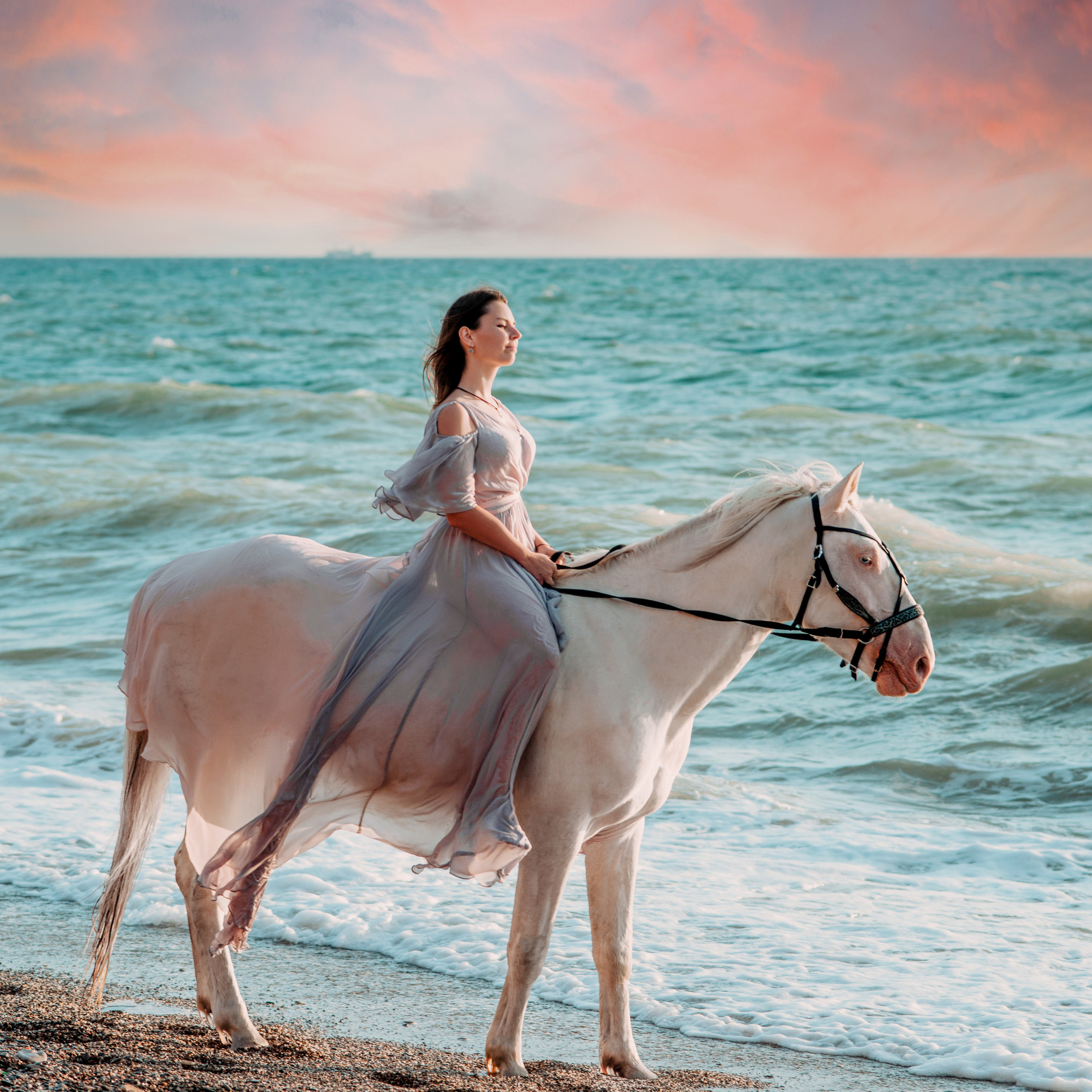 Фотосессии с лошадьми. Свадебный фотограф в Севастополе