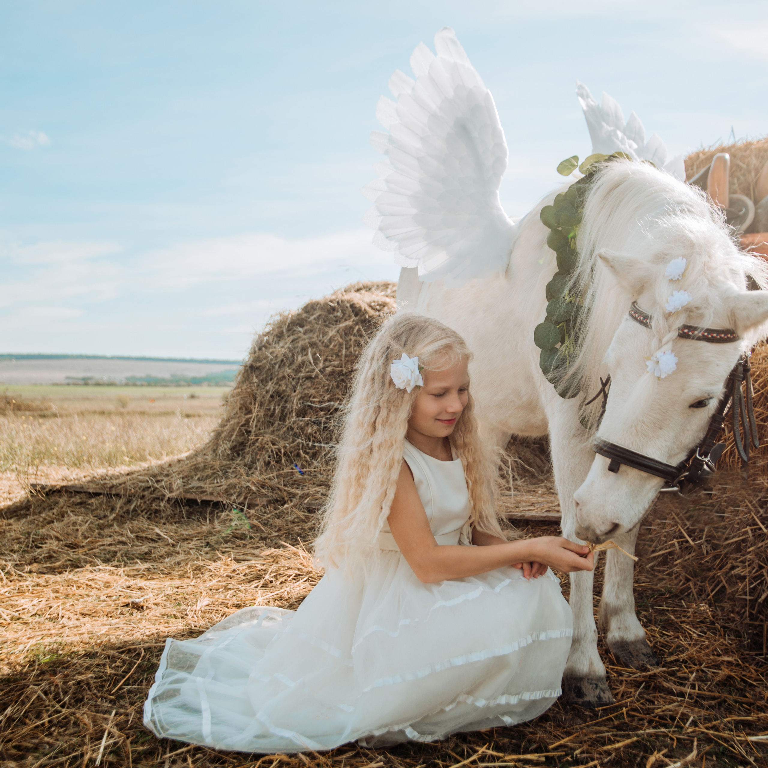 Фотосессии с лошадьми. Свадебный фотограф в Севастополе