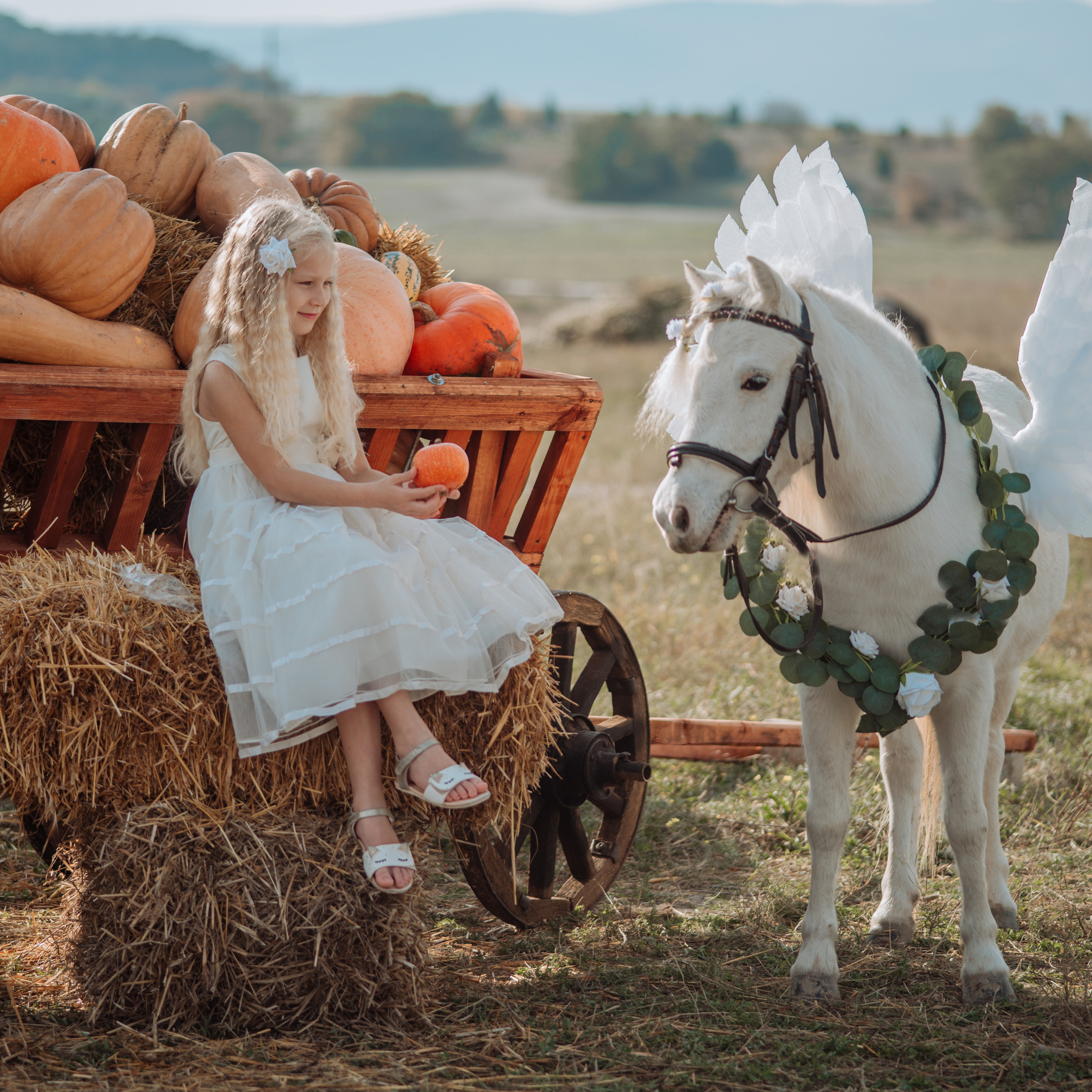 Фотосессии с лошадьми. Свадебный фотограф в Севастополе