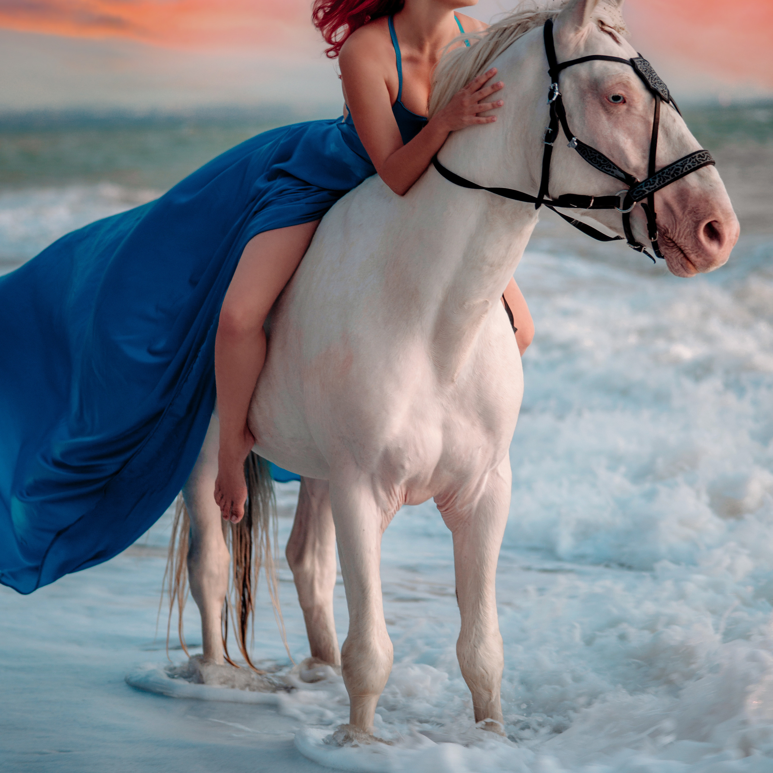 Фотосессии с лошадьми. Свадебный фотограф в Севастополе