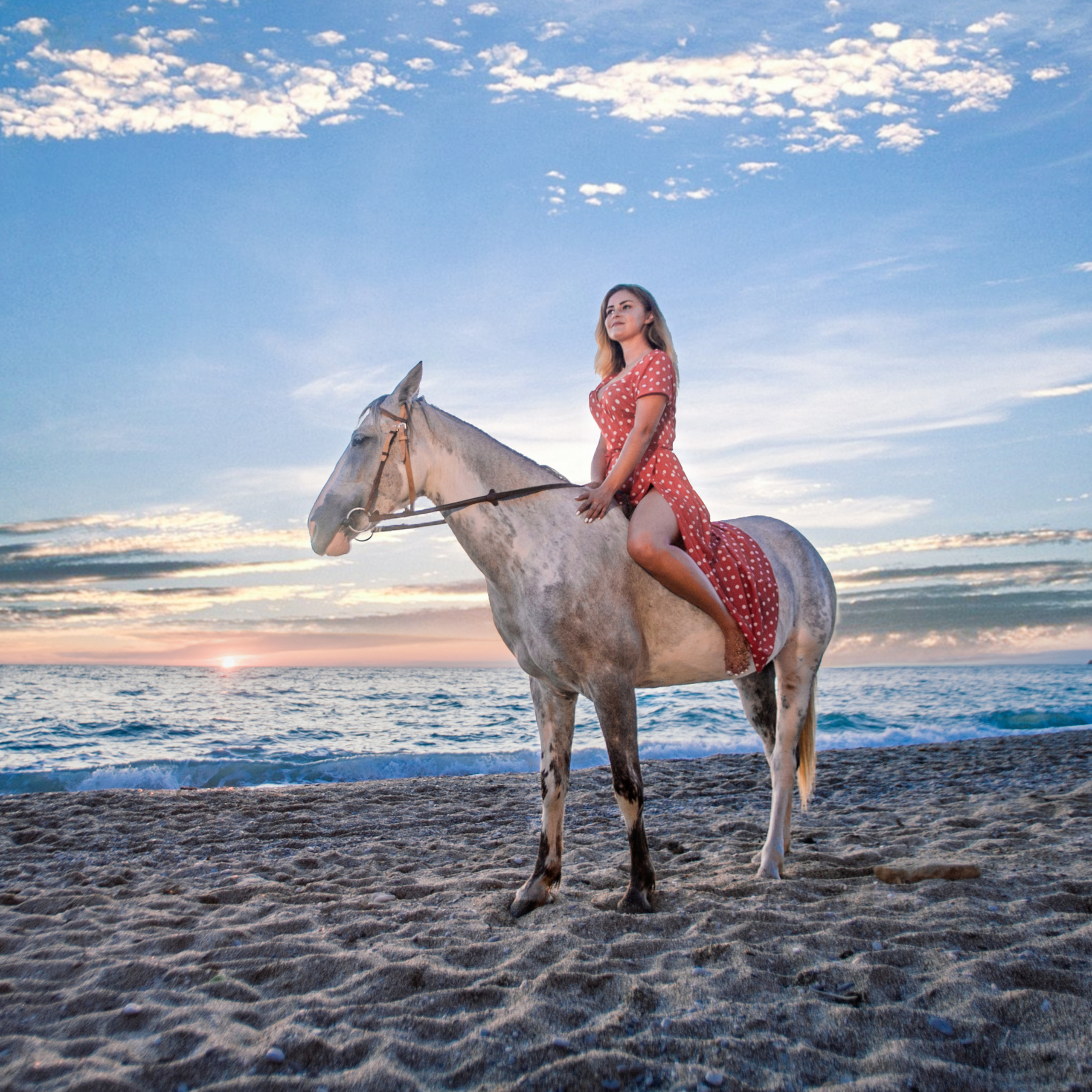 Фотосессии с лошадьми. Свадебный фотограф в Севастополе