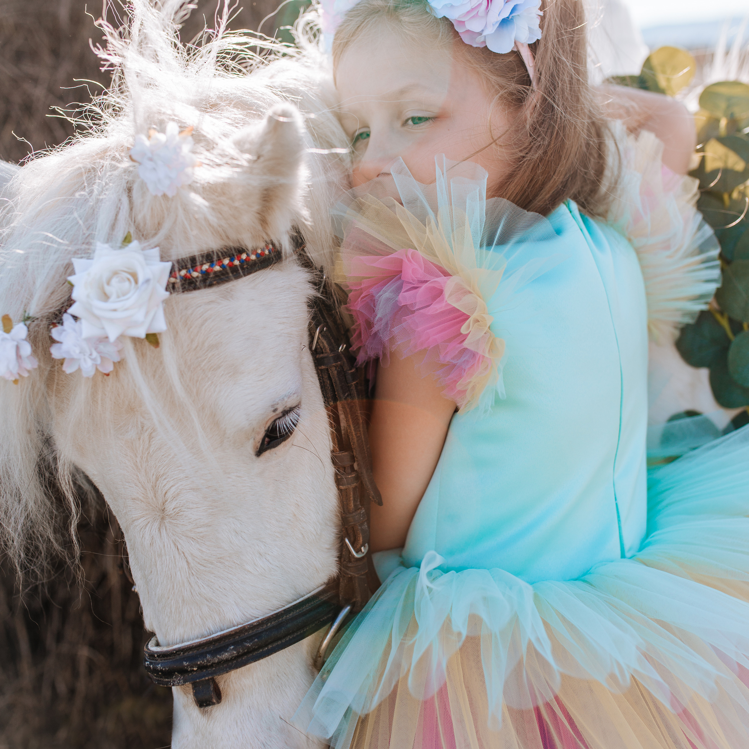 Фотосессии с лошадьми. Свадебный фотограф в Севастополе