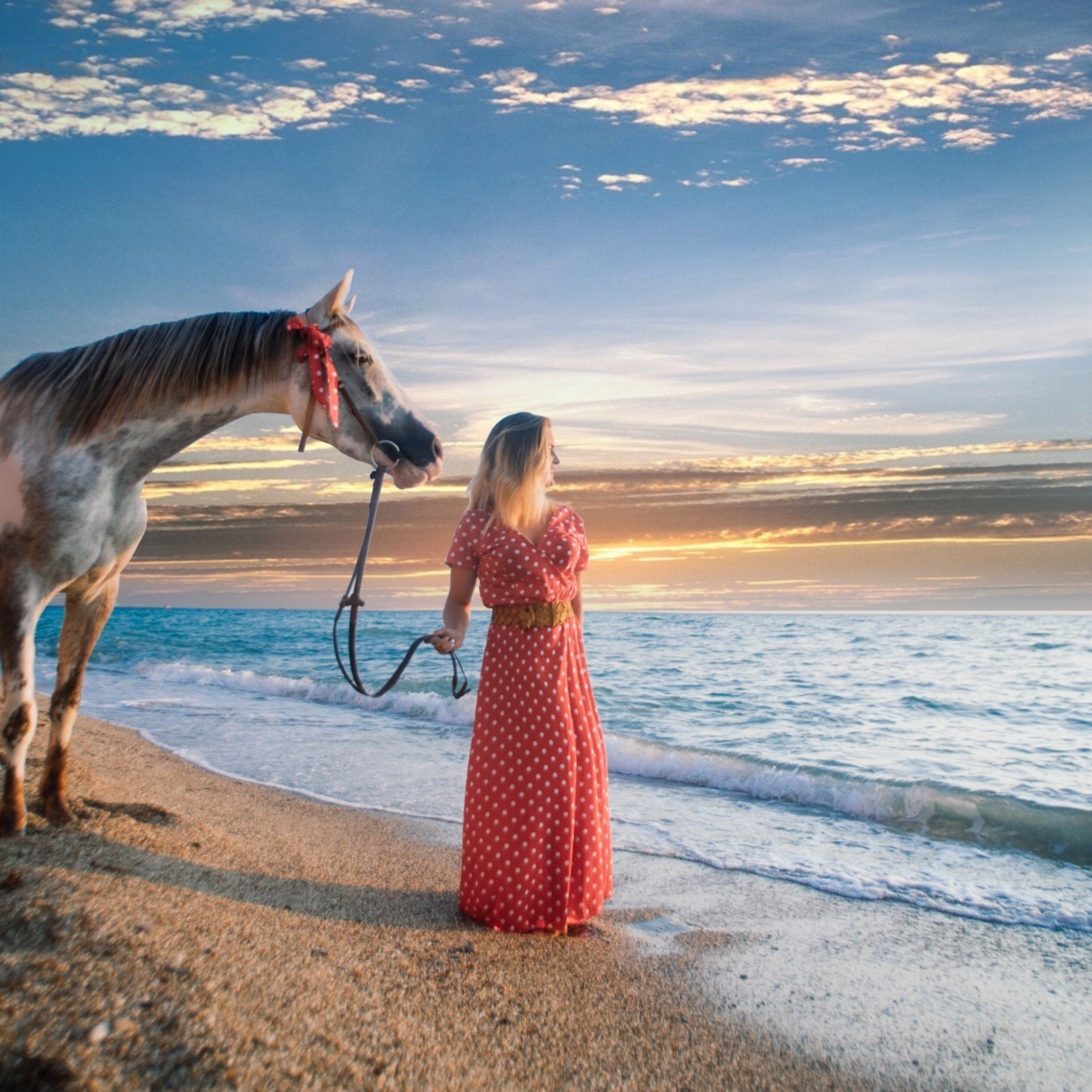 Отзывы. Свадебный фотограф в Севастополе