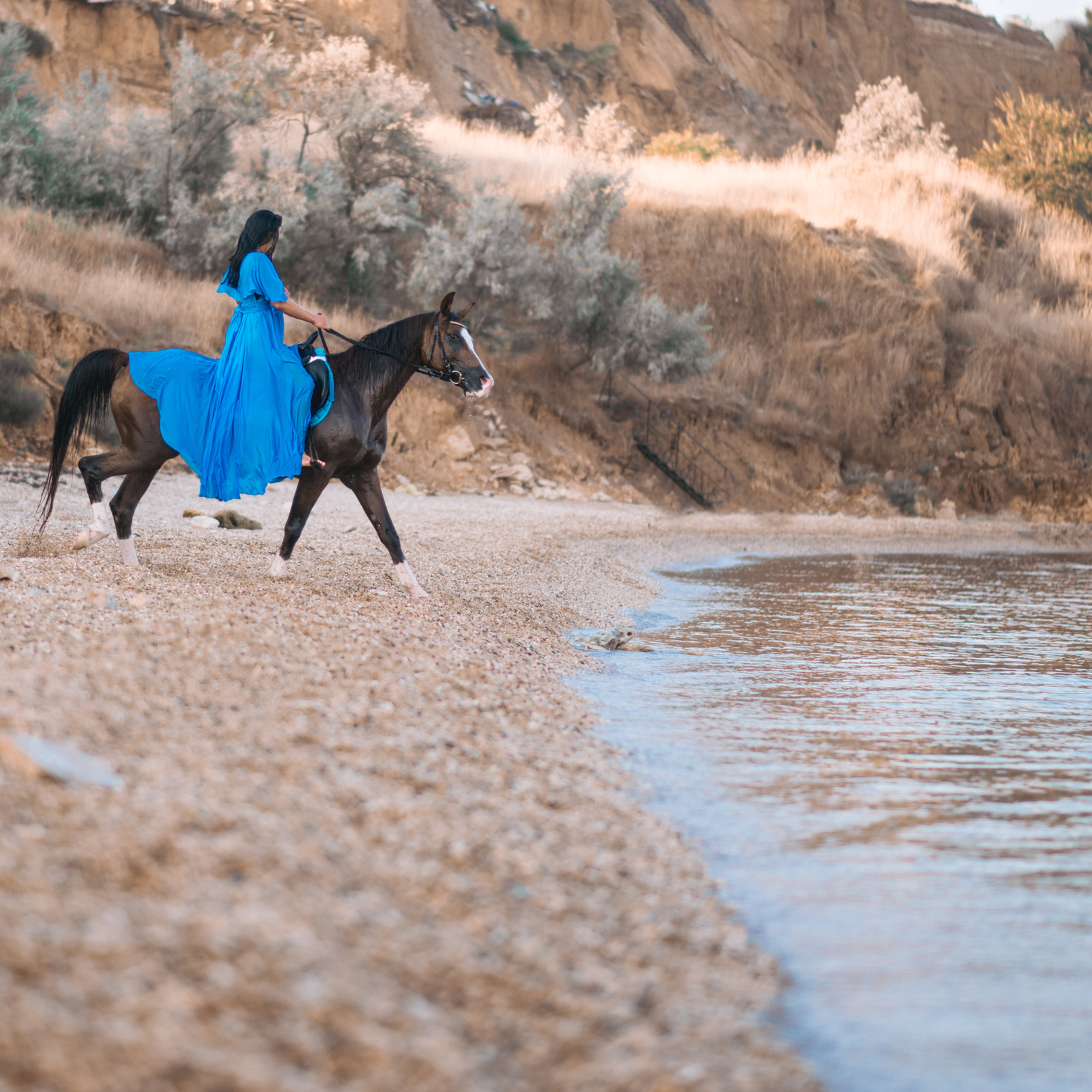 Фотосессии с лошадьми. Свадебный фотограф в Севастополе