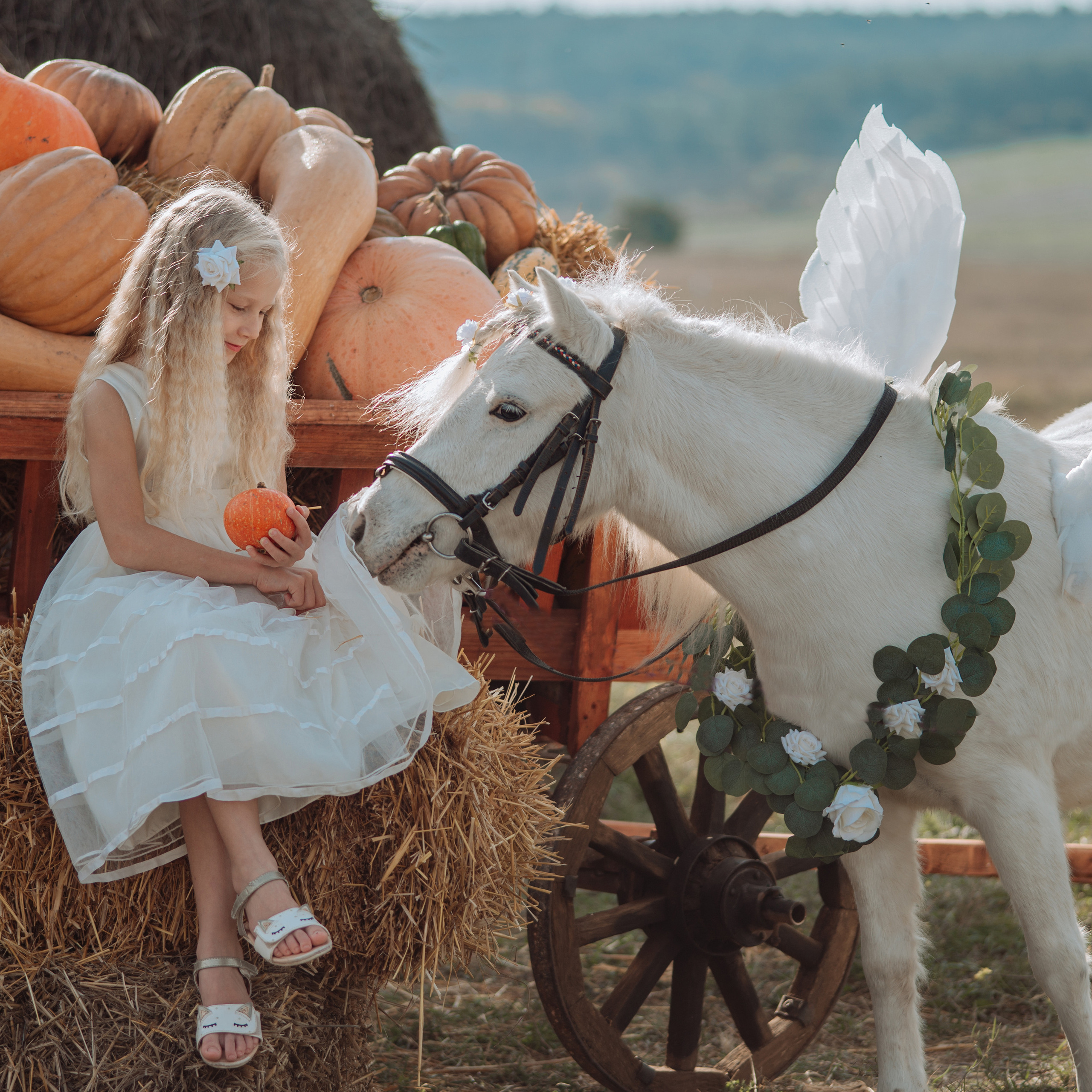 Фотосессии с лошадьми. Свадебный фотограф в Севастополе